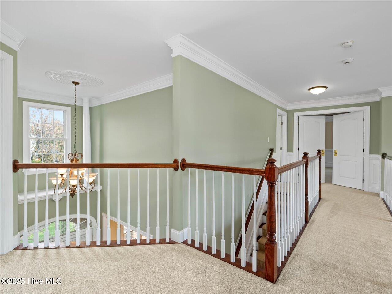 9220 Meadow Mist Court Property Photo 51