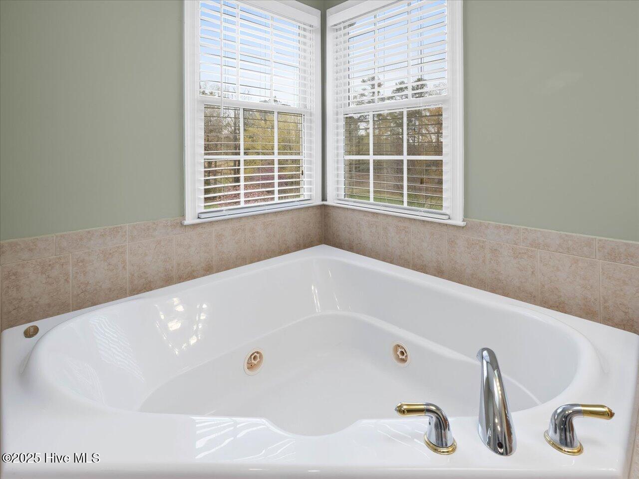9220 Meadow Mist Court Property Photo 71