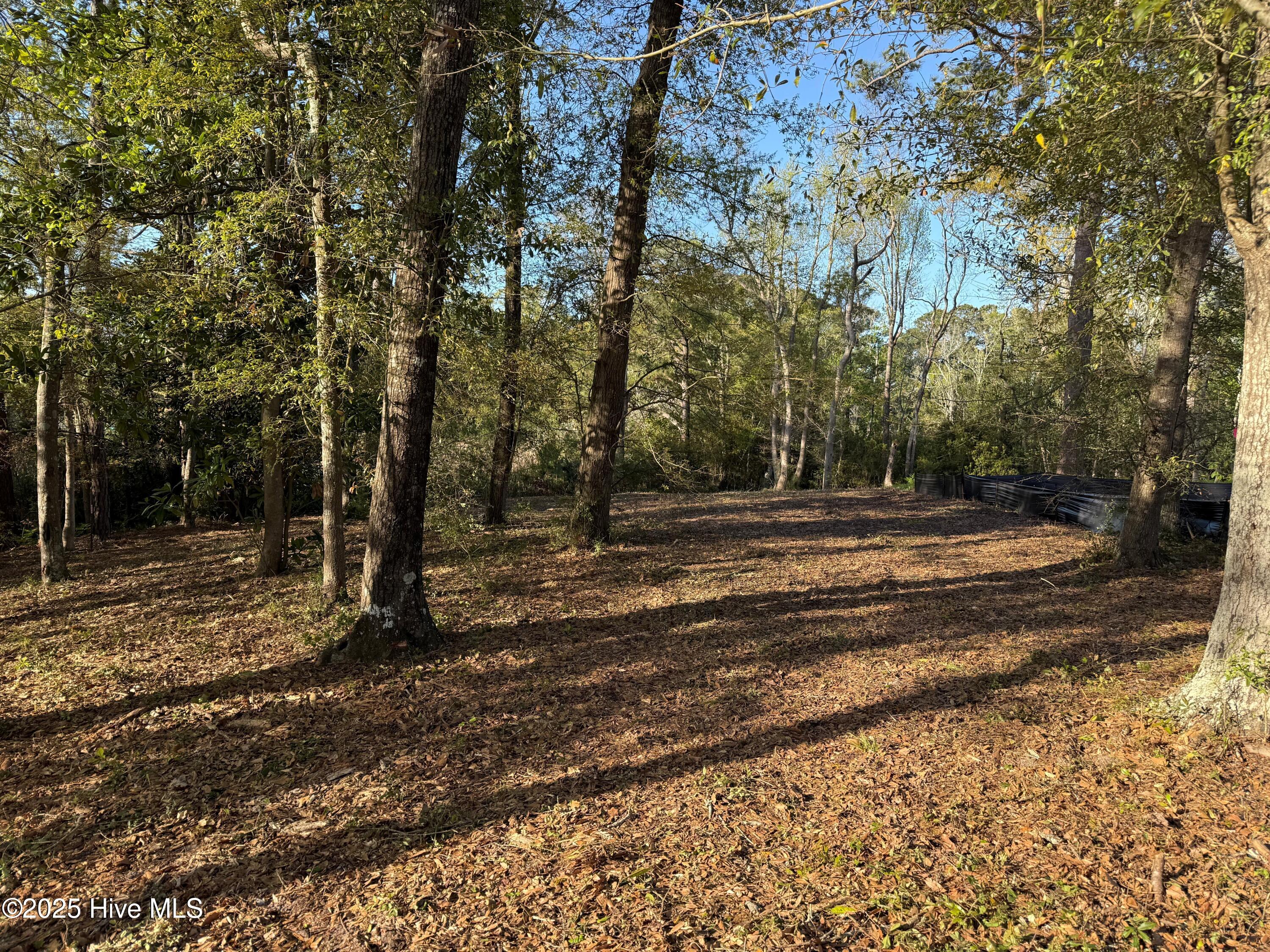 201 Willis Drive Property Photo 2