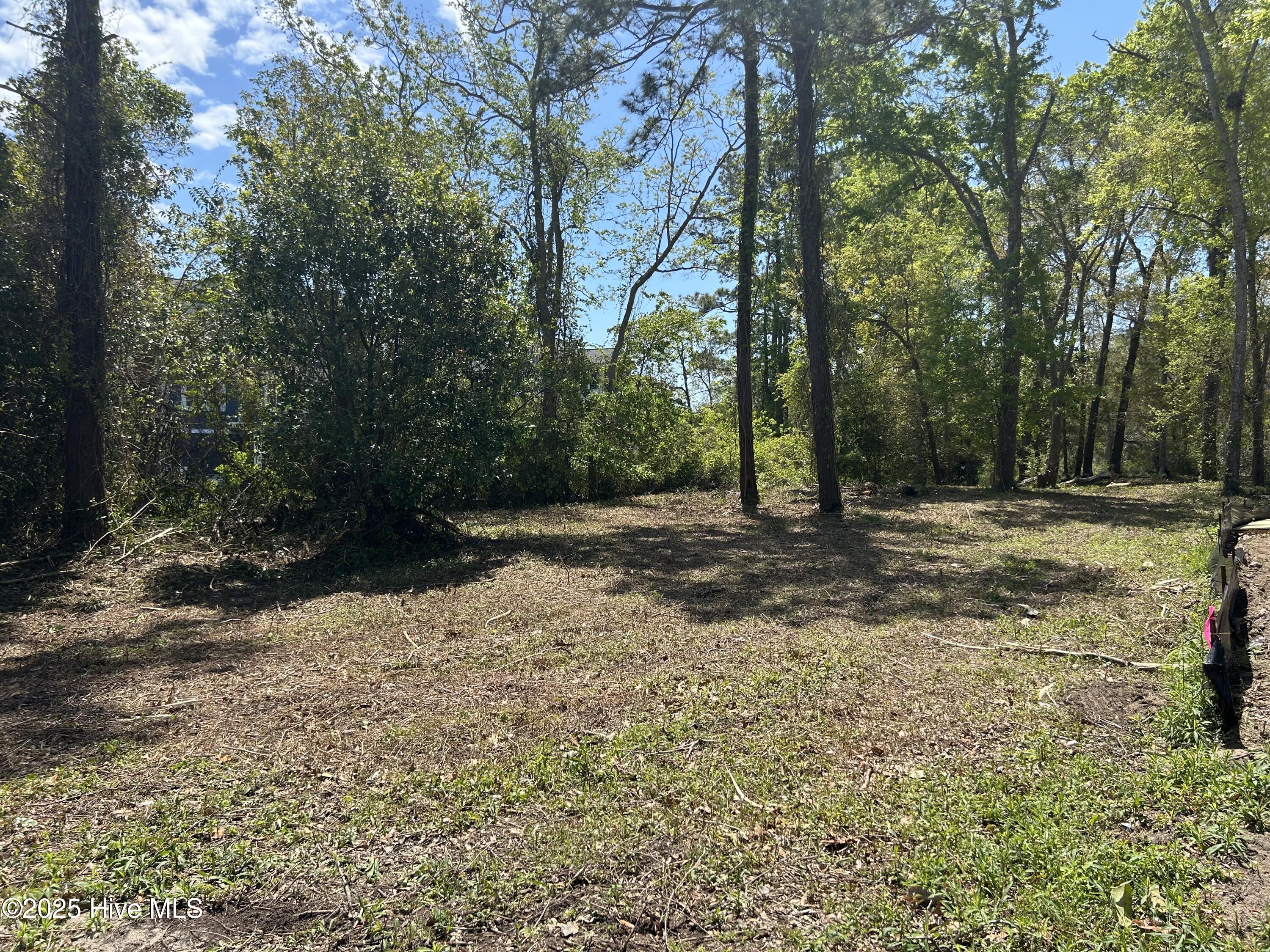 201 Willis Drive Property Photo 4