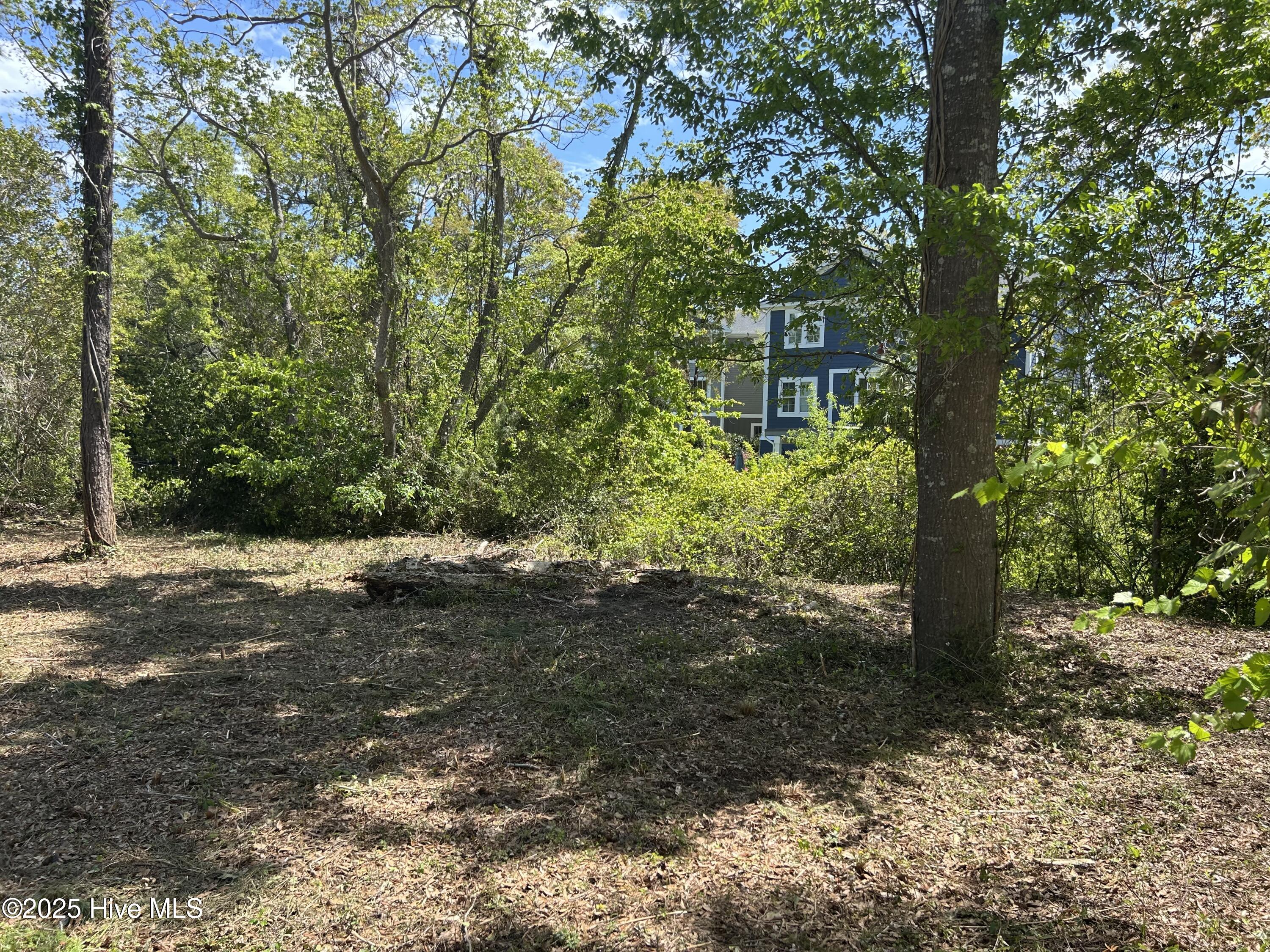 201 Willis Drive Property Photo 5