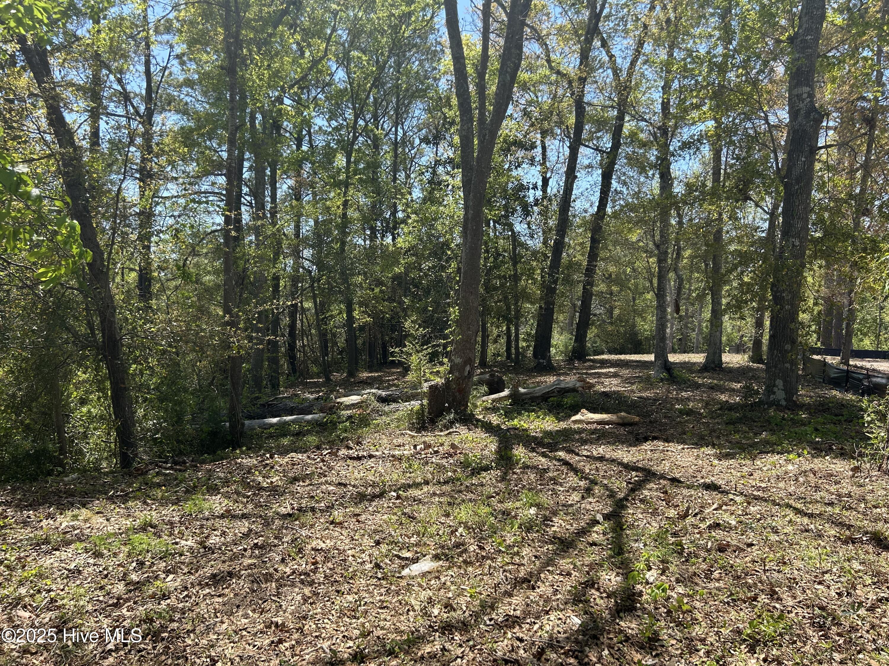 201 Willis Drive Property Photo 6