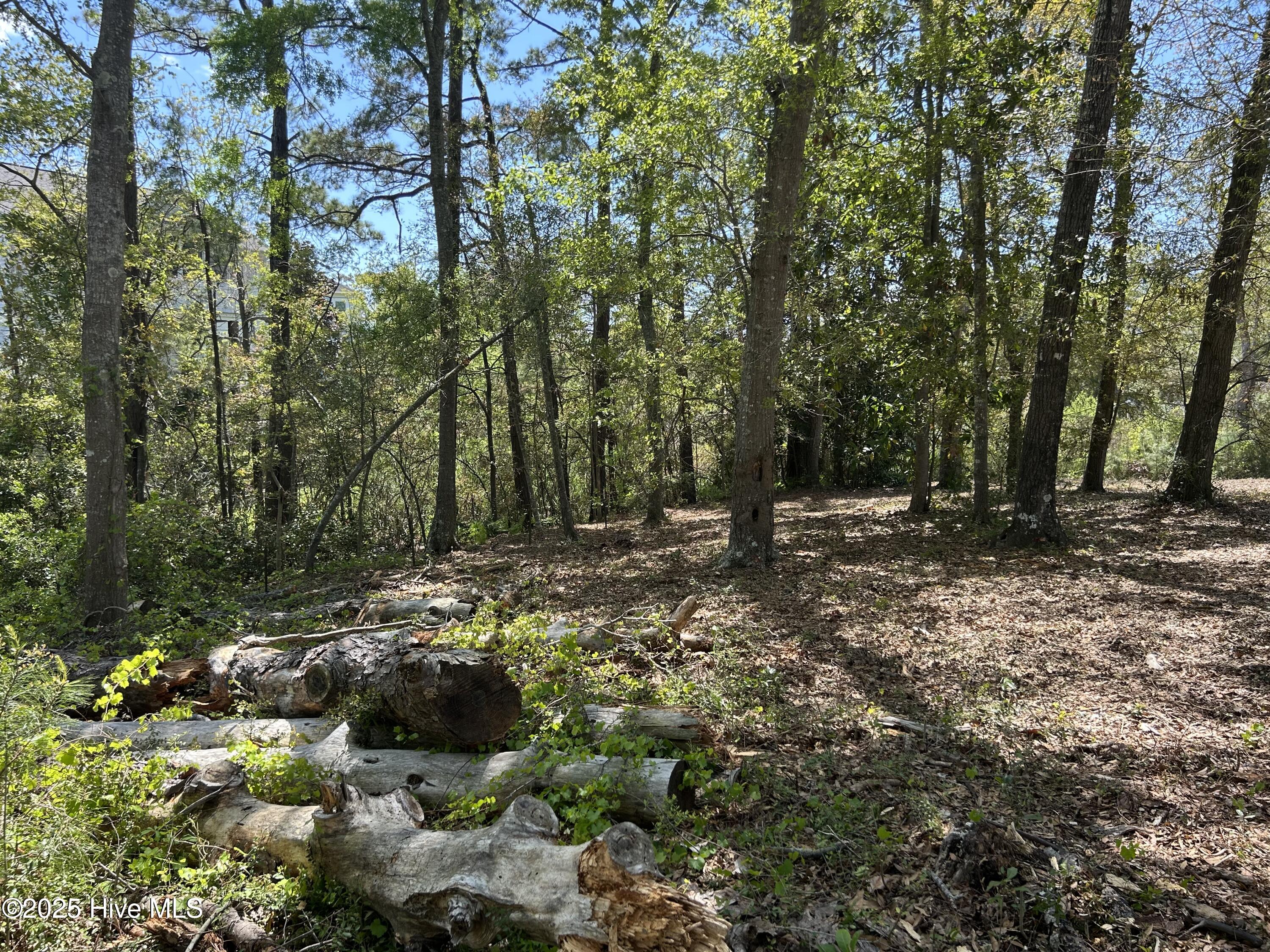 201 Willis Drive Property Photo 7
