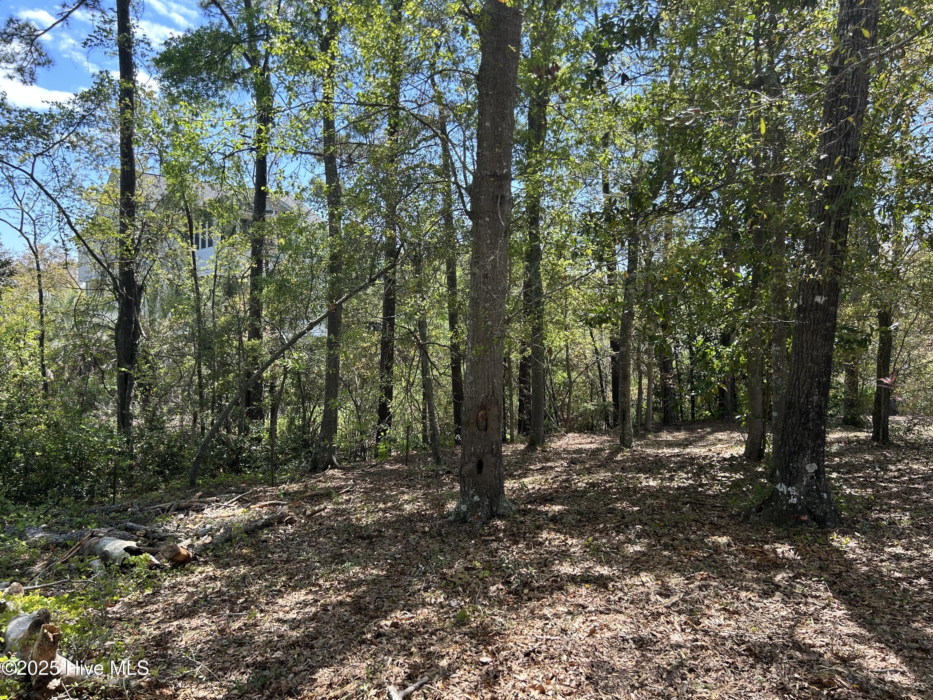 201 Willis Drive Property Photo 8