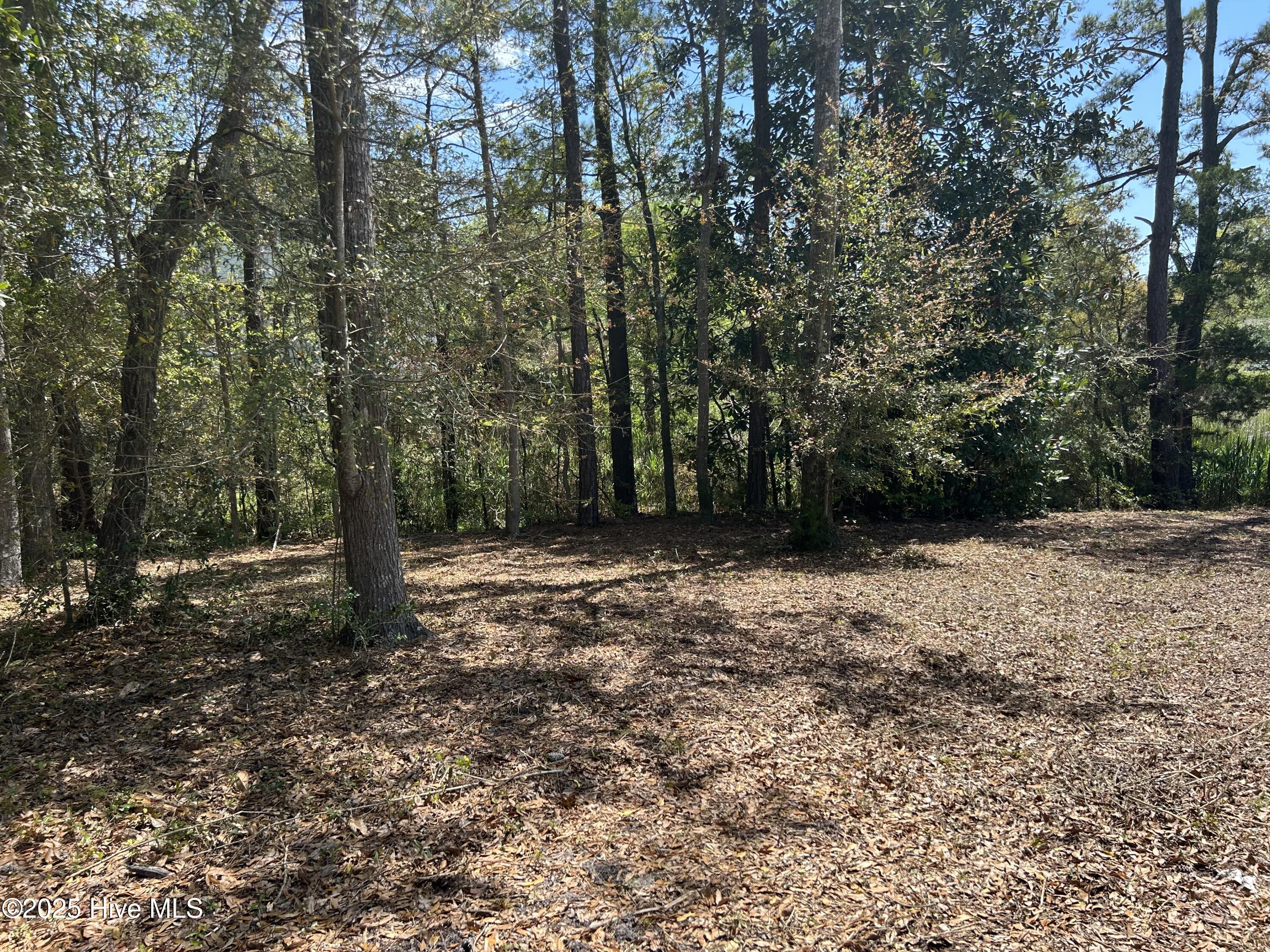 201 Willis Drive Property Photo 9