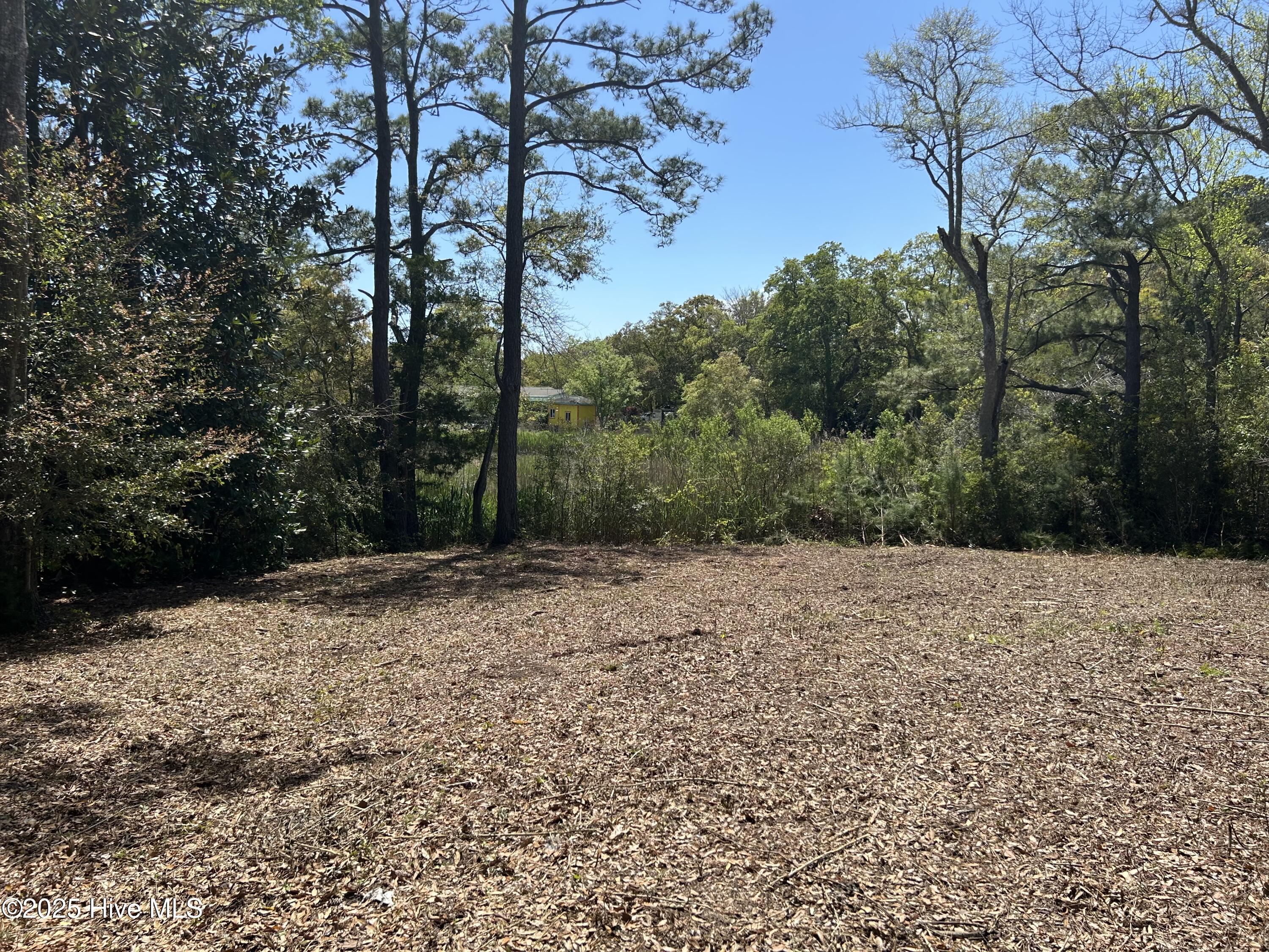 201 Willis Drive Property Photo 10