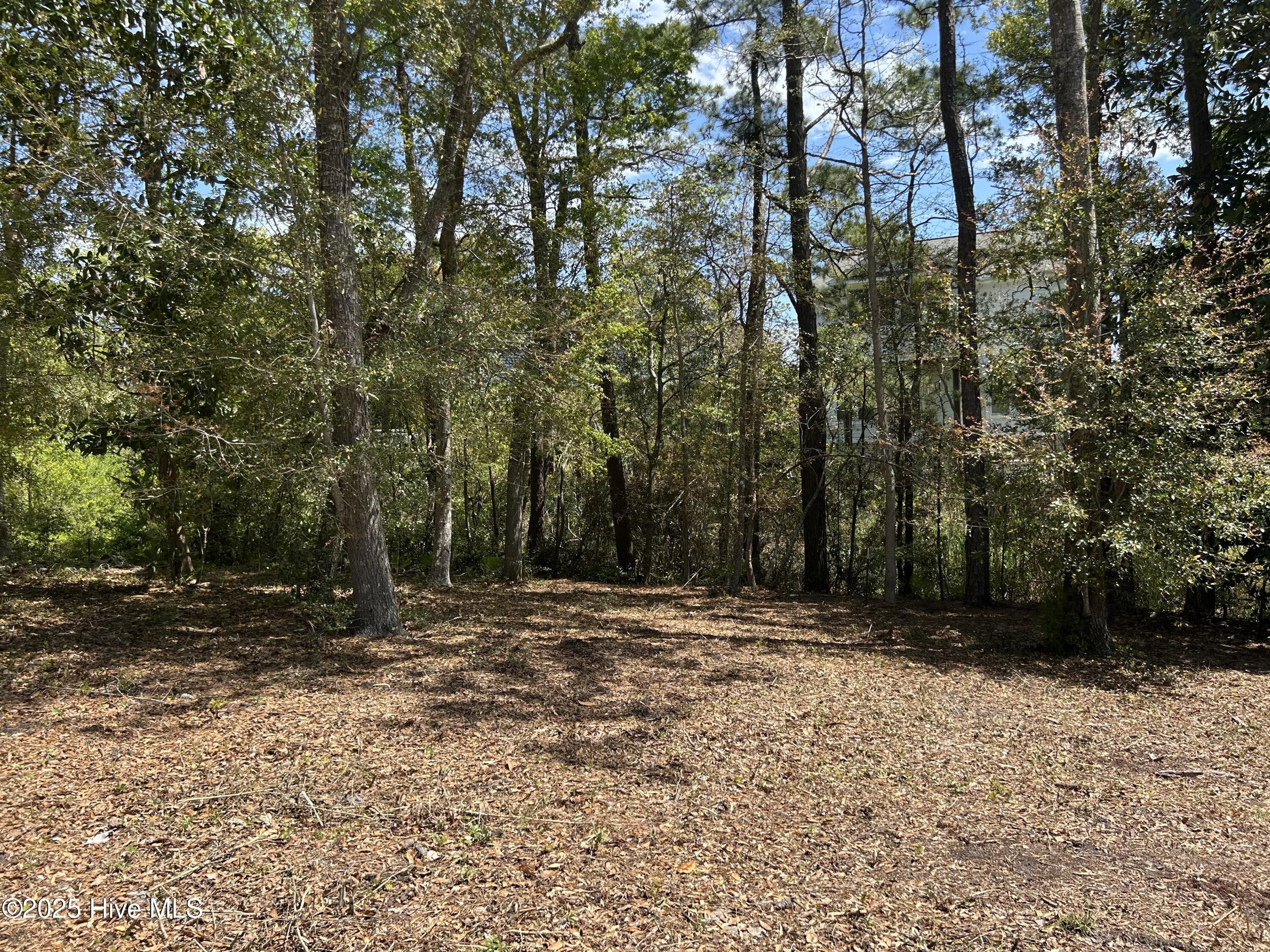 201 Willis Drive Property Photo 11