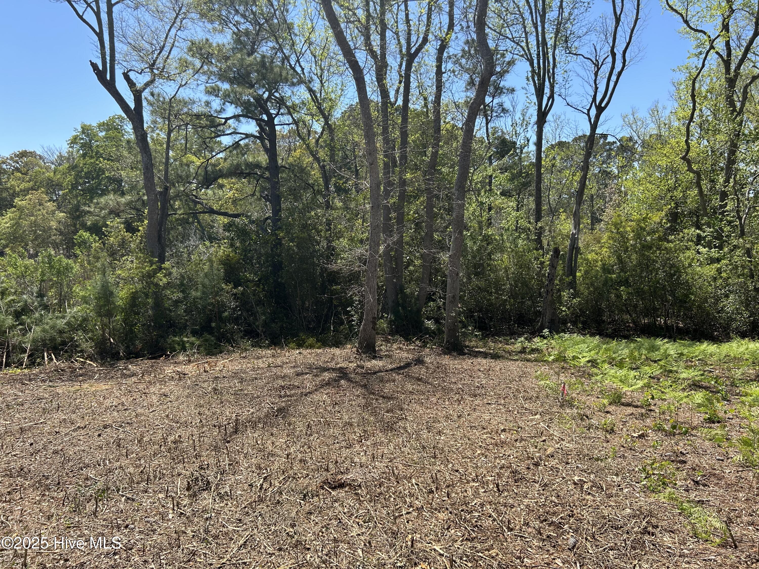 201 Willis Drive Property Photo 12