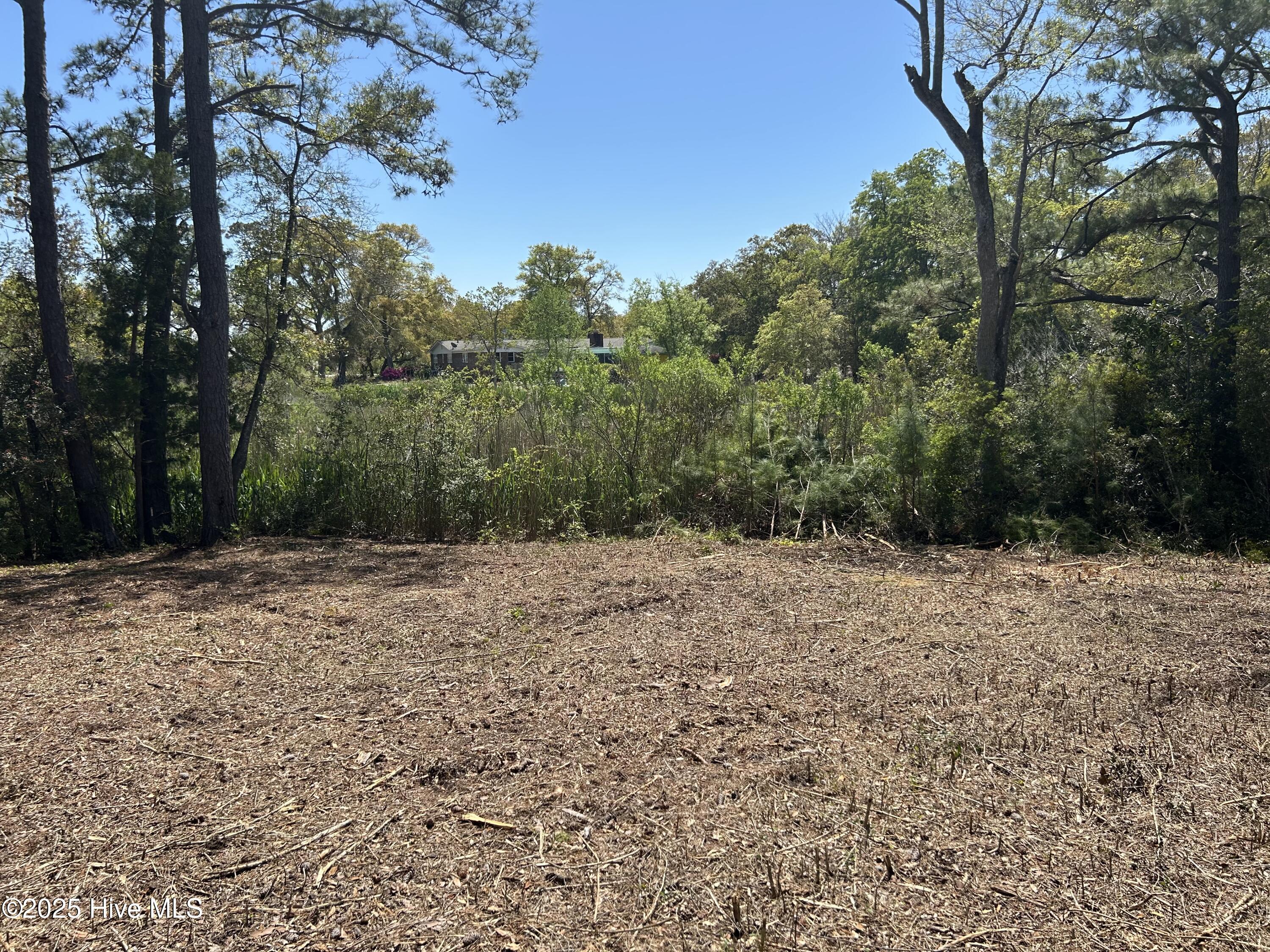 201 Willis Drive Property Photo 13