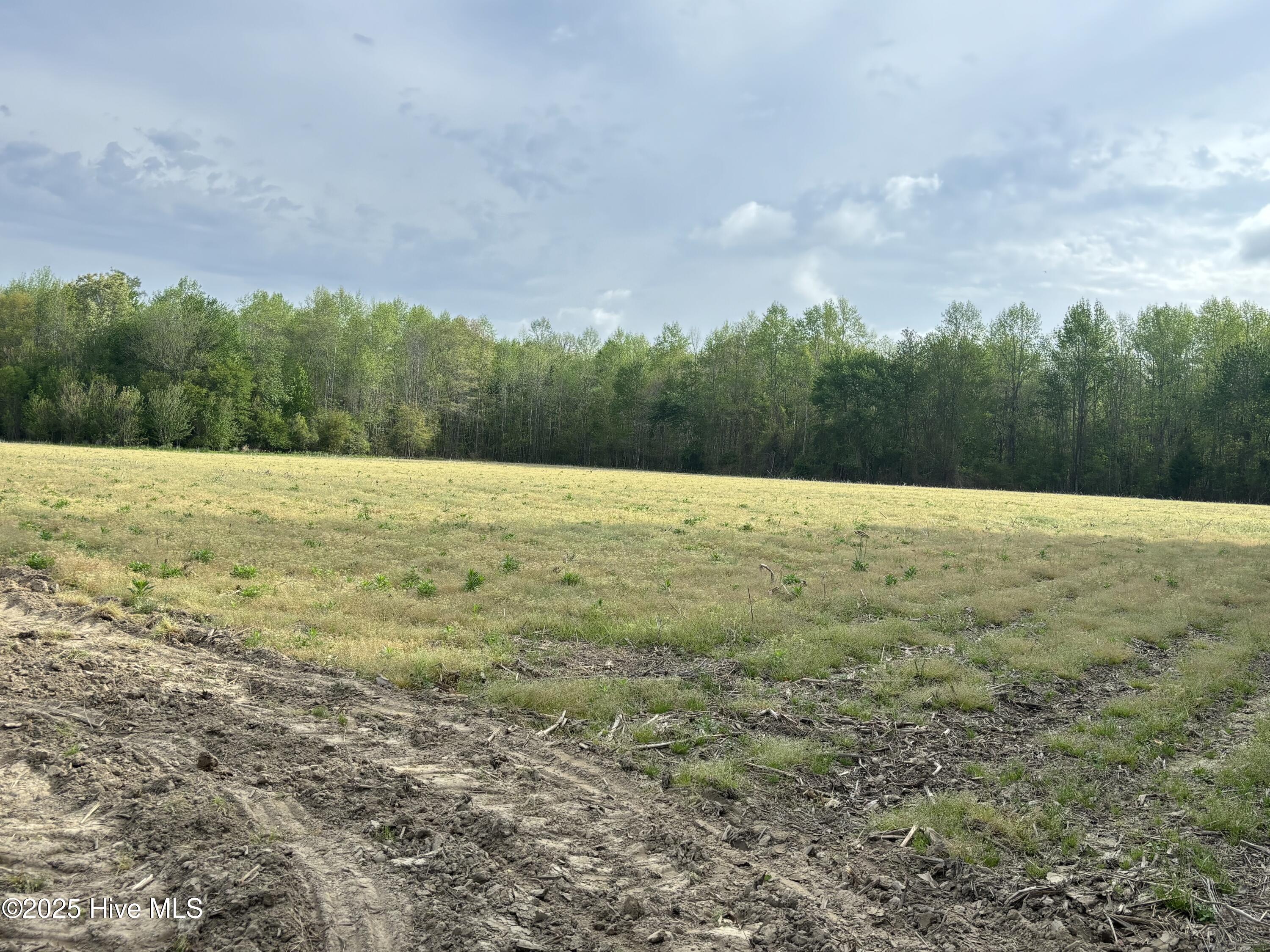 Tbd Jones White Road Property Photo