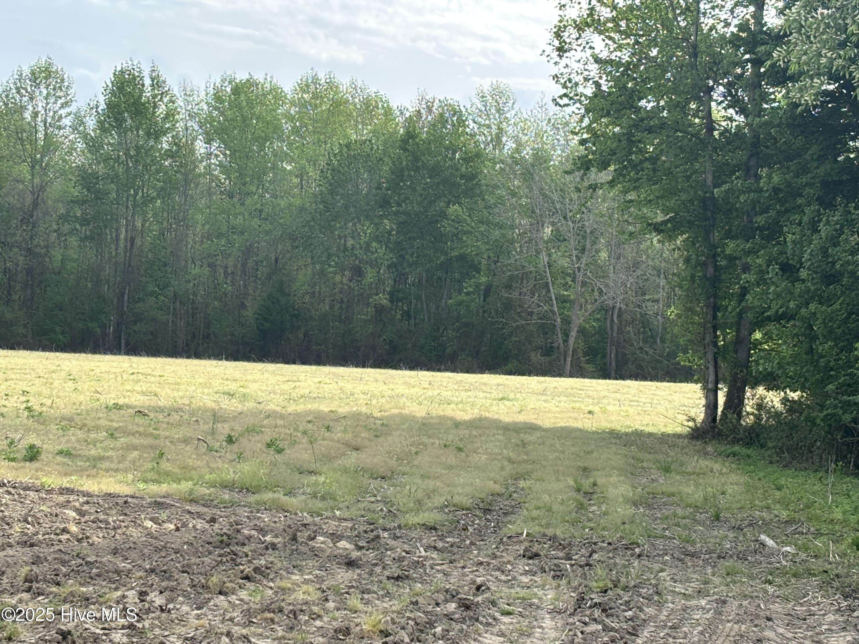 Tbd Jones White Road Property Photo 2