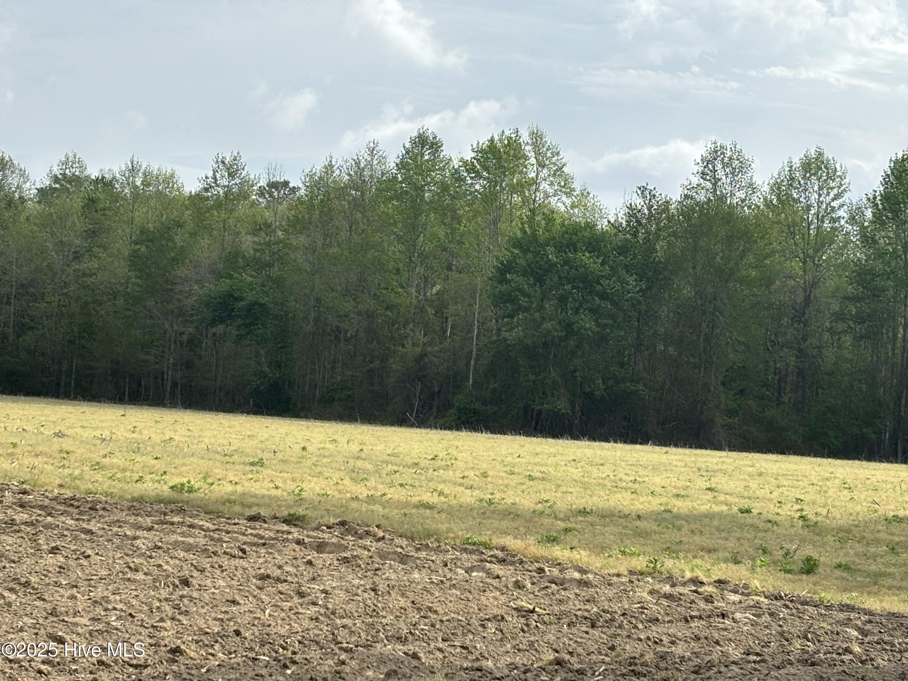Tbd Jones White Road Property Photo 3