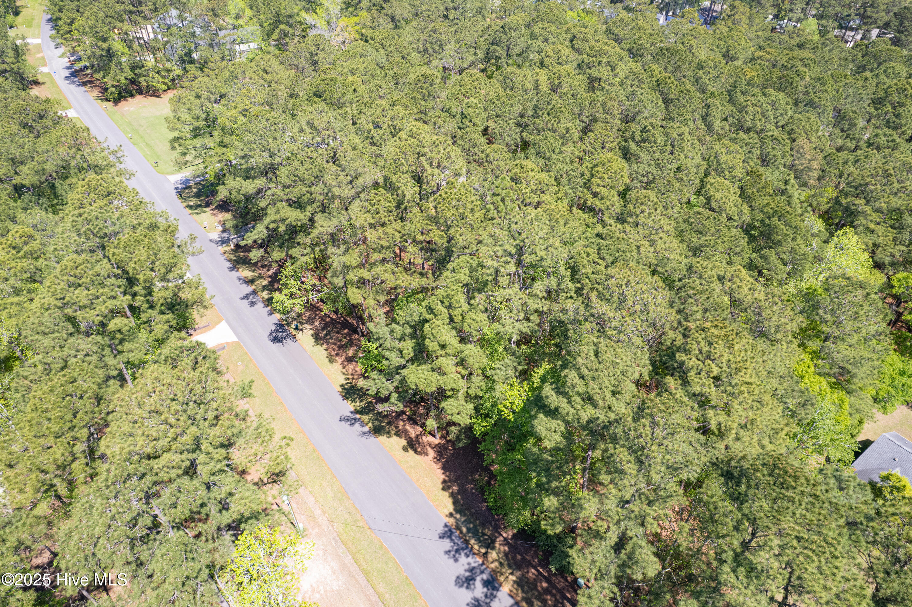 53 Sunfield Drive Property Photo 6