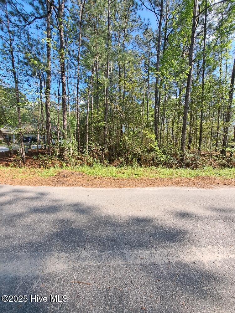 82 Northeast Drive Property Photo 1