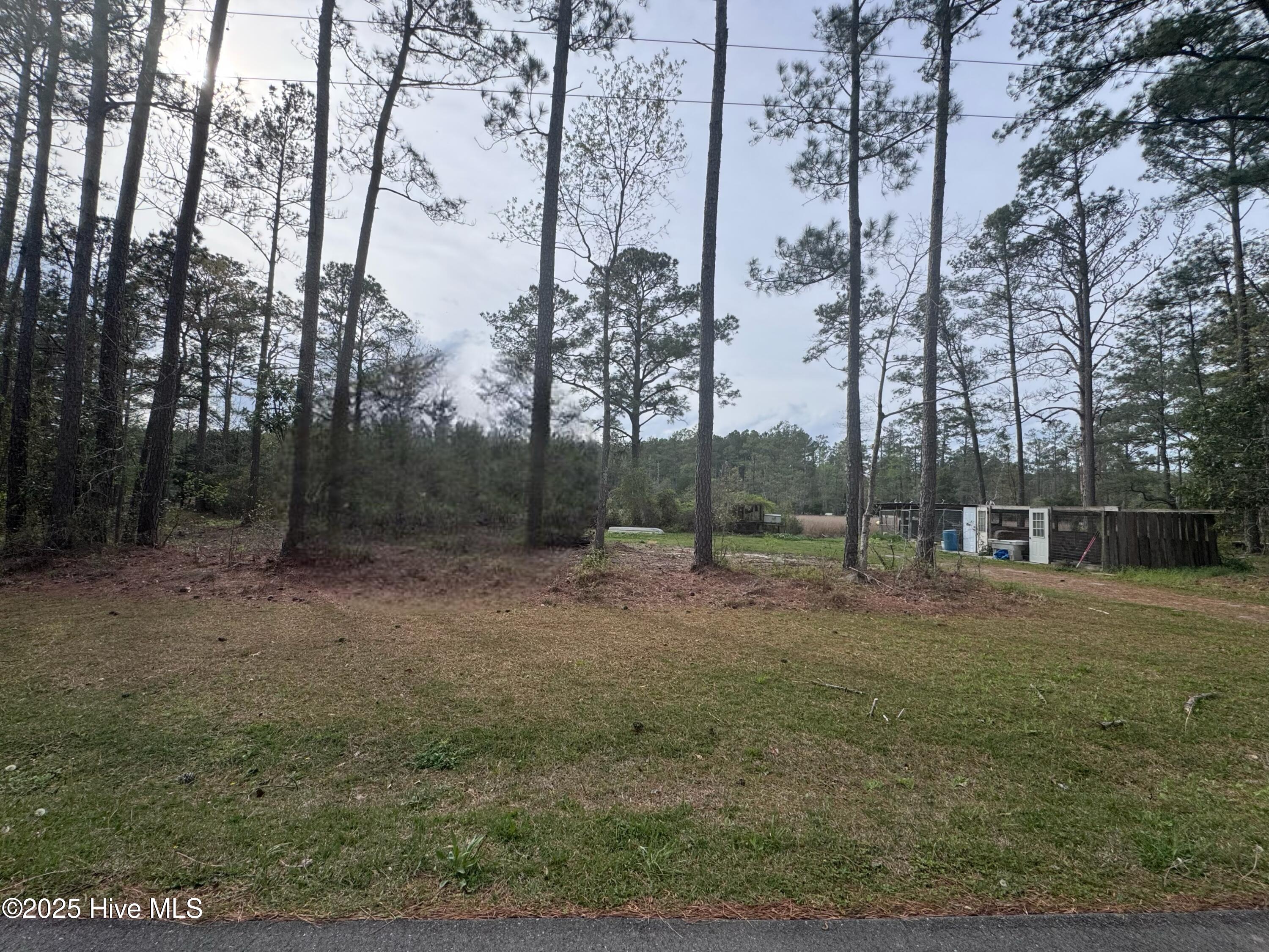 0 Pine Tree Lane Property Photo