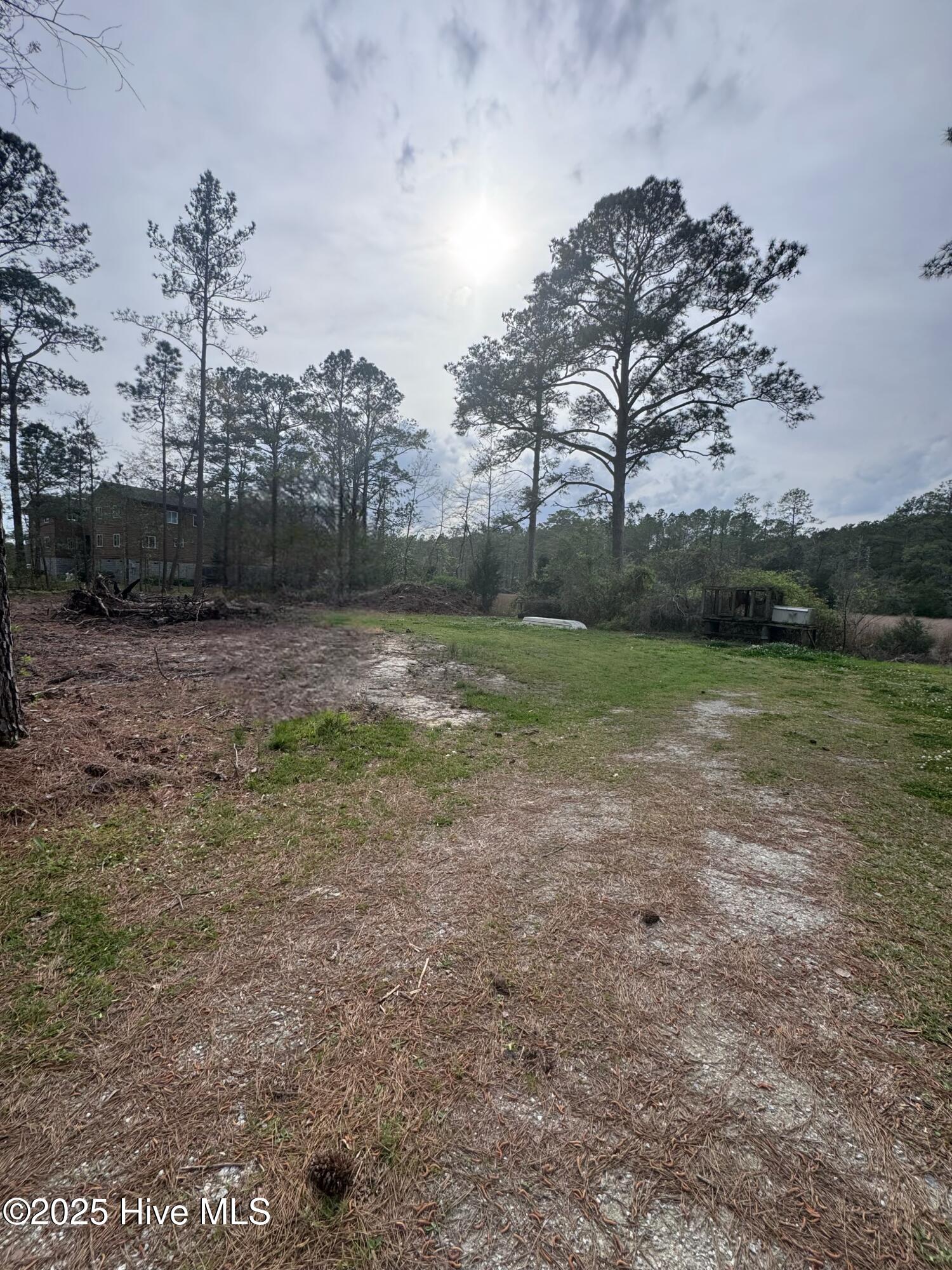 0 Pine Tree Lane Property Photo 2
