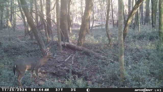 857 Mill River Road Property Photo 3