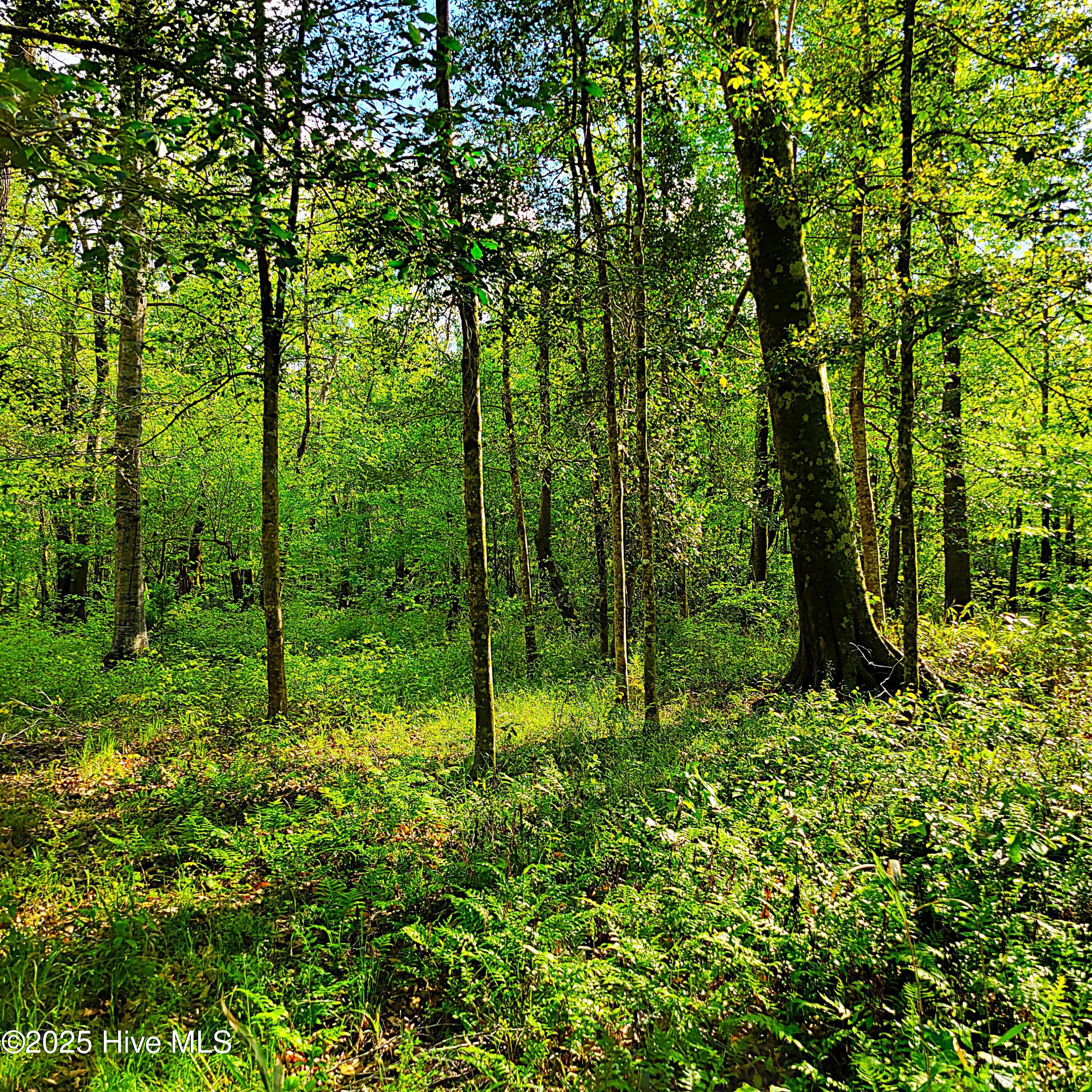 857 Mill River Road Property Photo 7