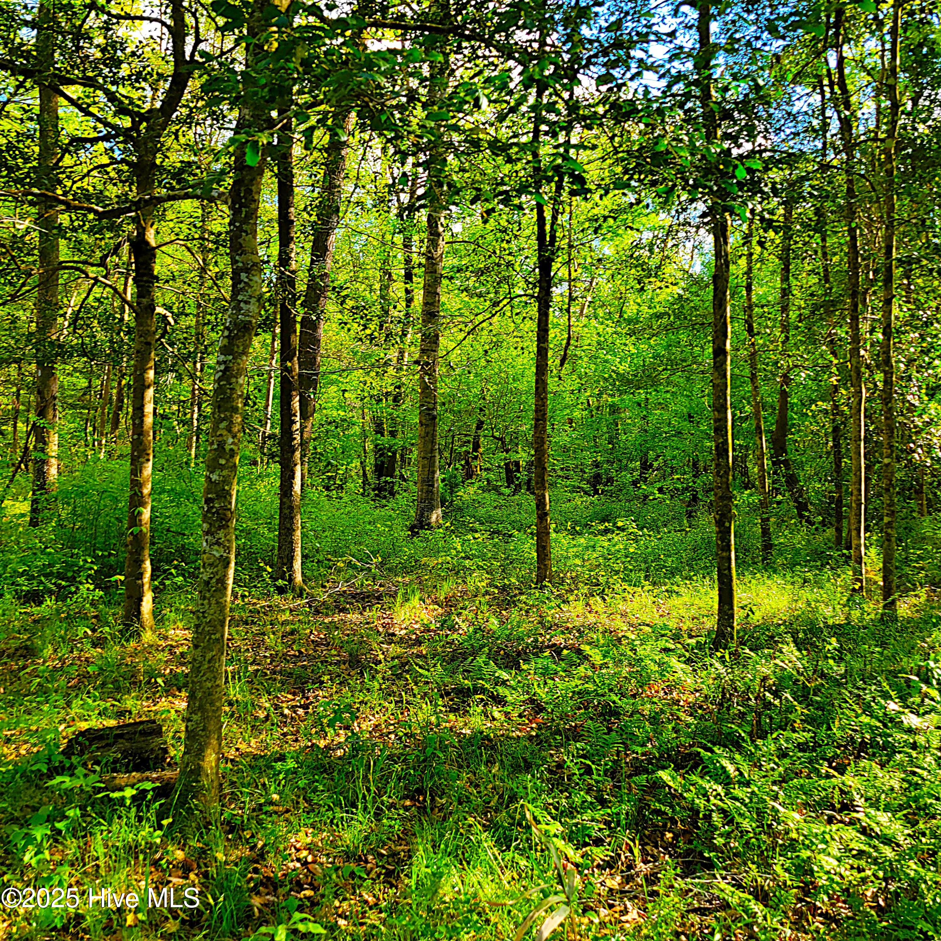 857 Mill River Road Property Photo 8