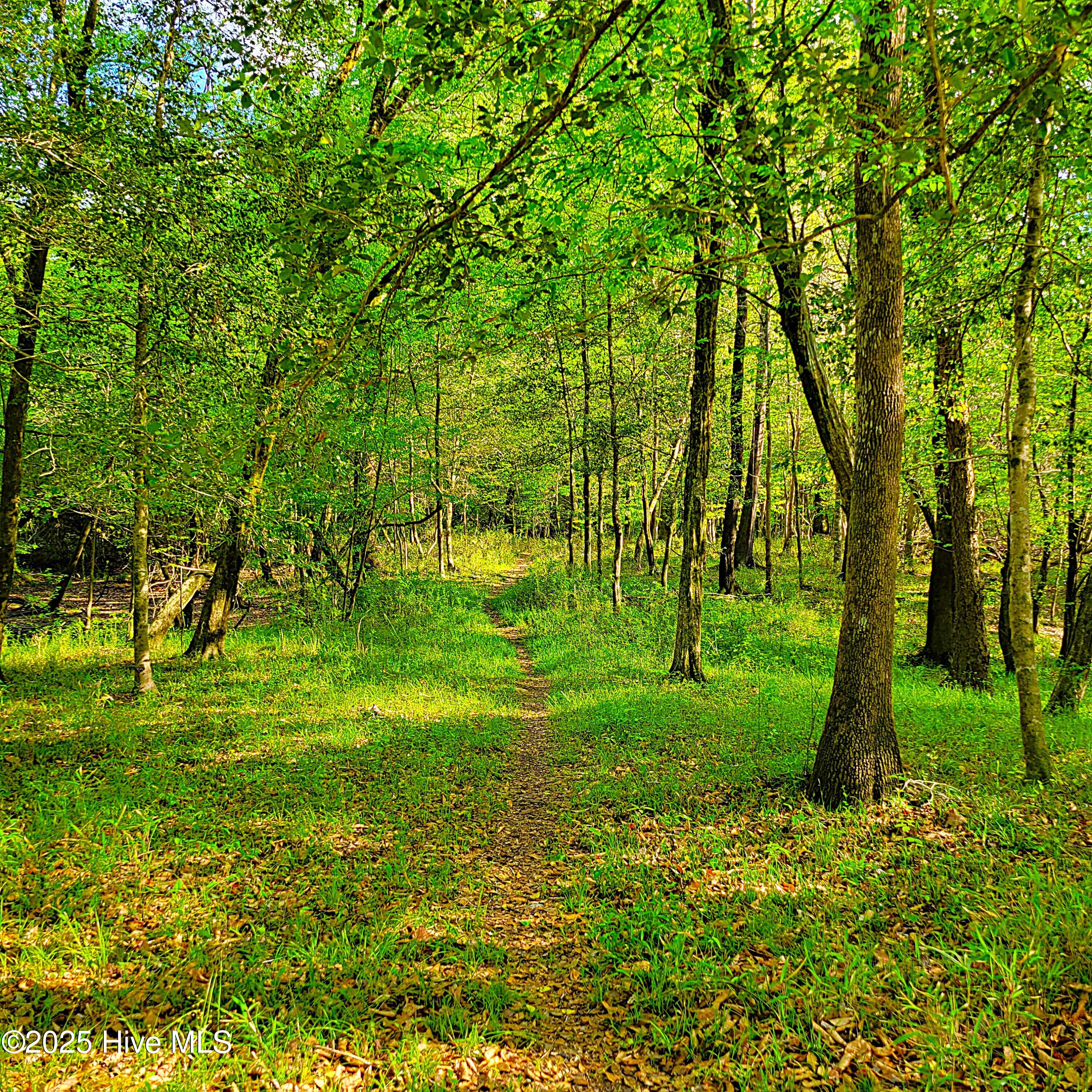 857 Mill River Road Property Photo 10