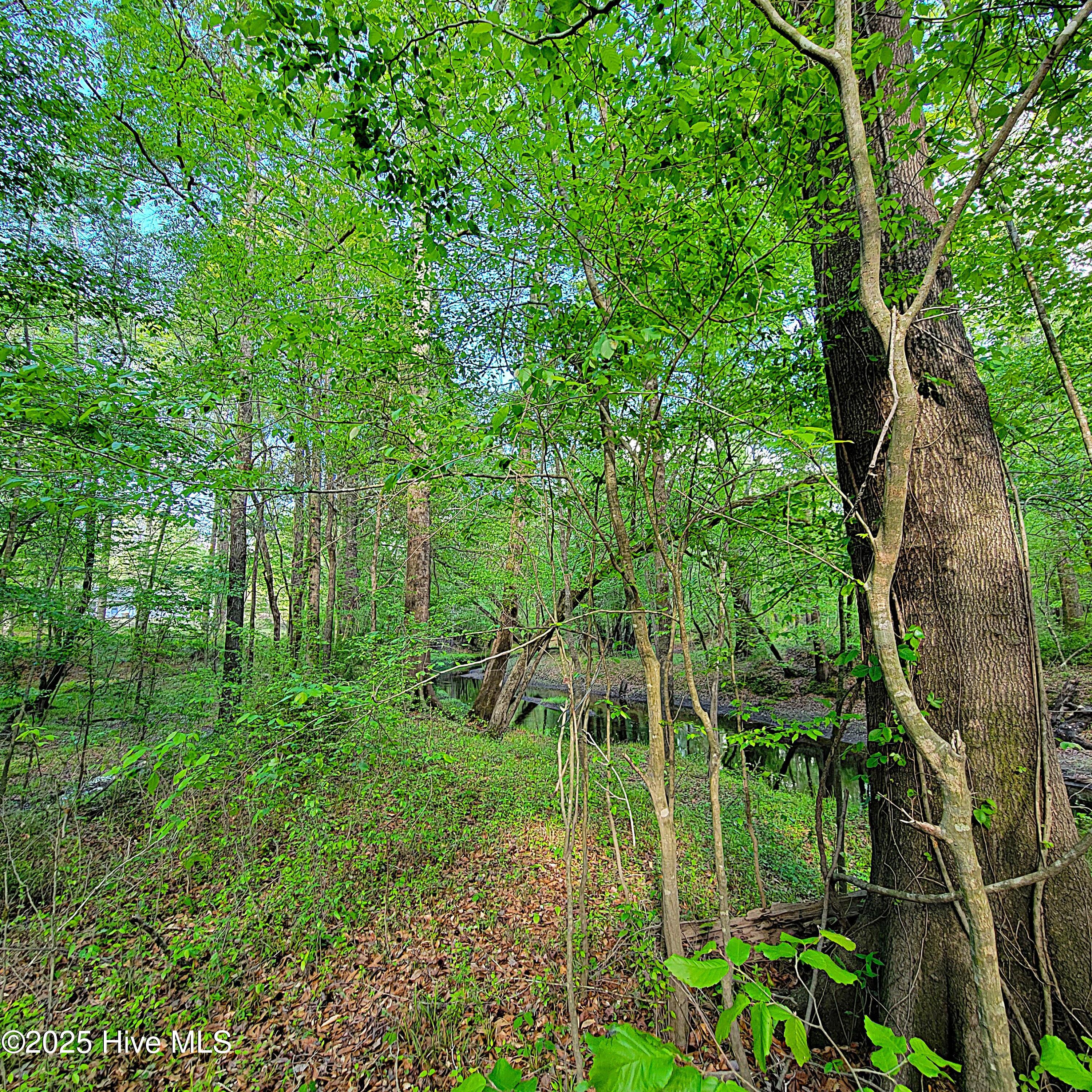 857 Mill River Road Property Photo 15