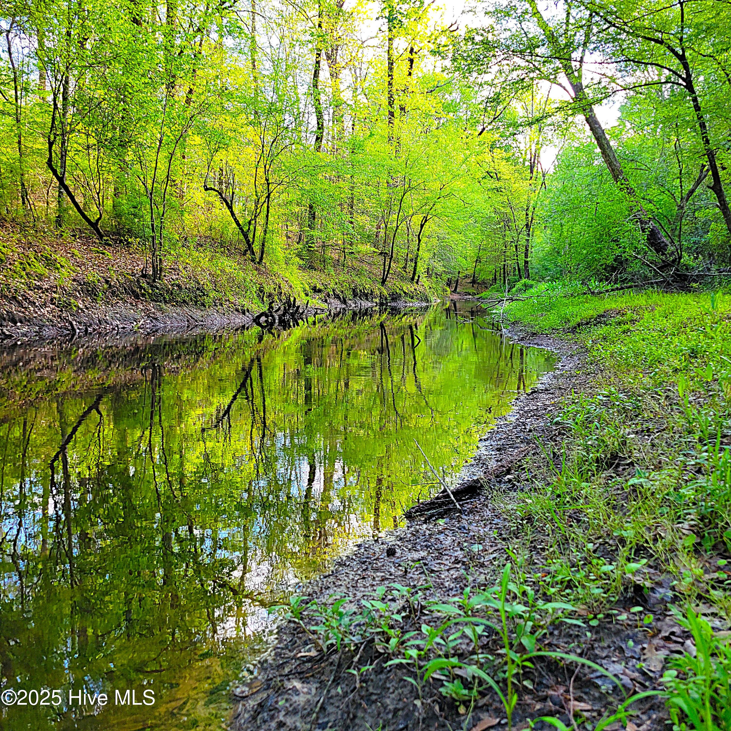 857 Mill River Road Property Photo 17