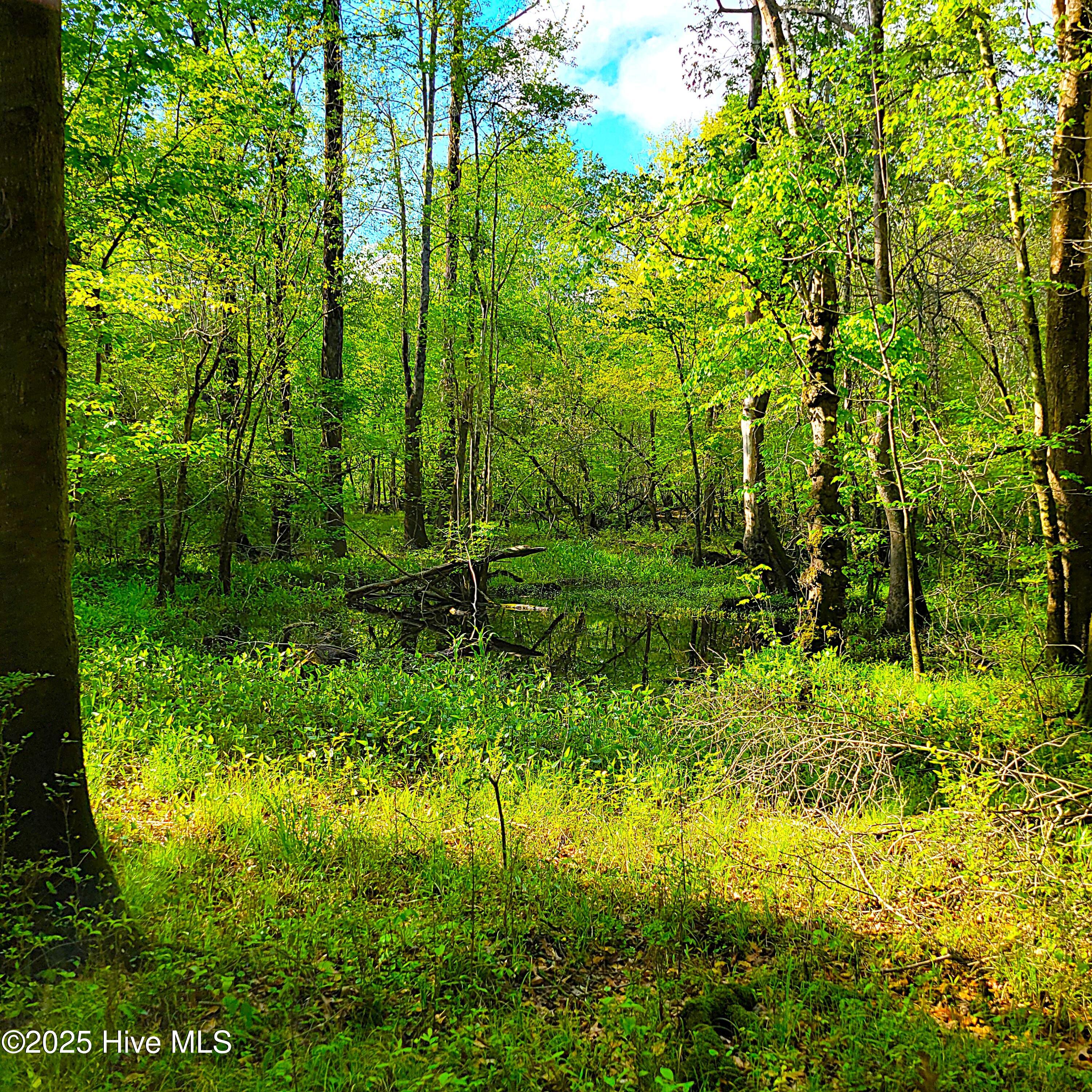 857 Mill River Road Property Photo 22