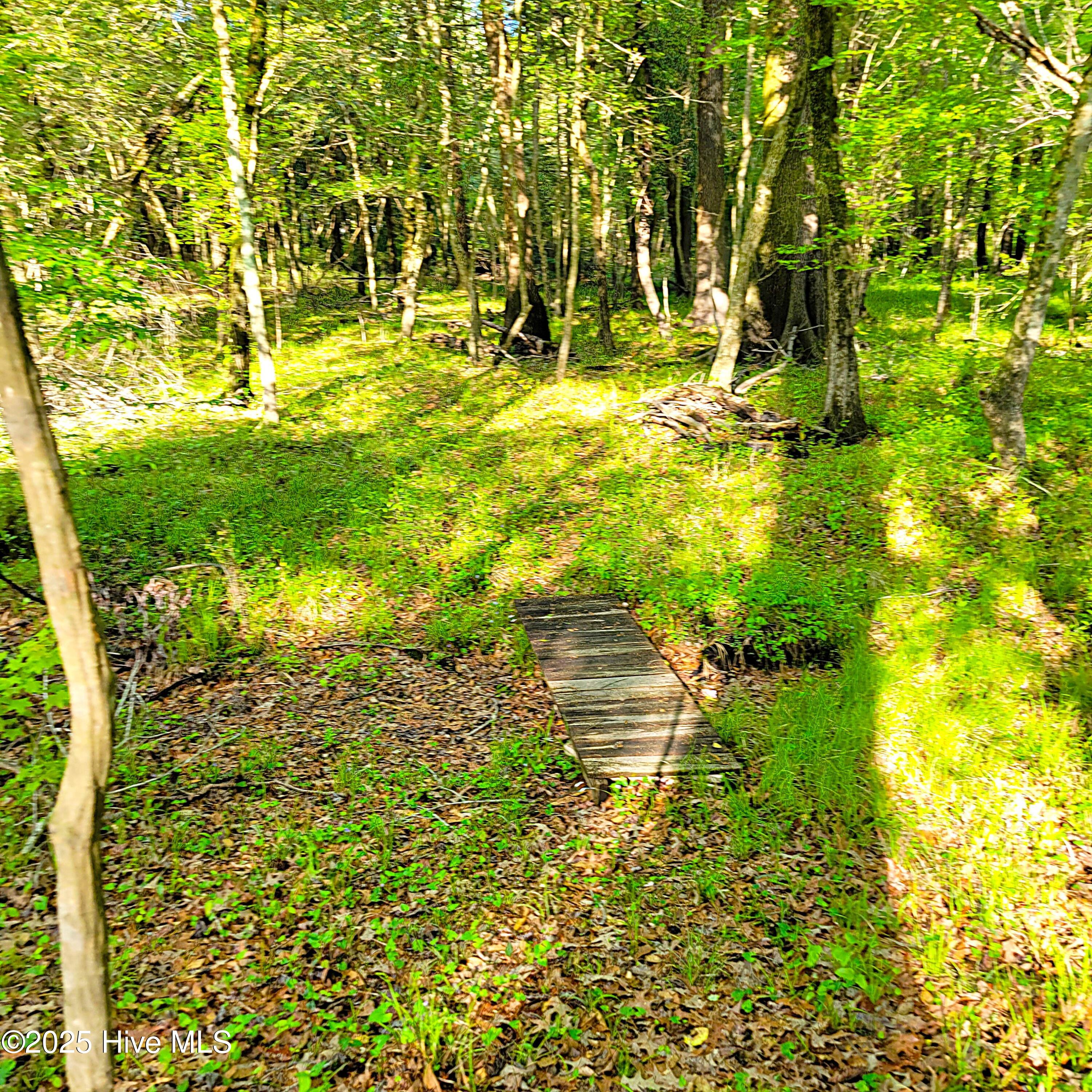 857 Mill River Road Property Photo 23