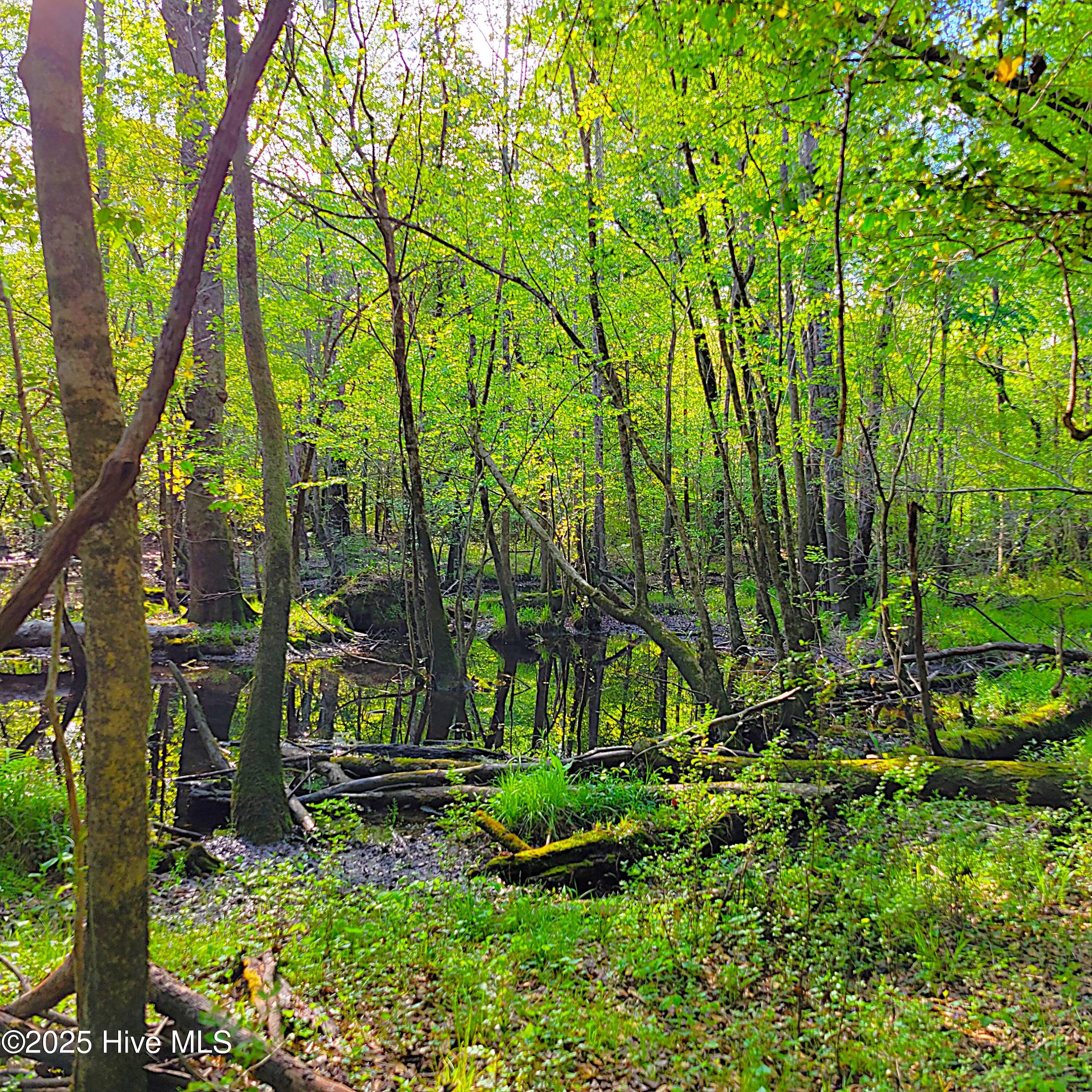 857 Mill River Road Property Photo 25