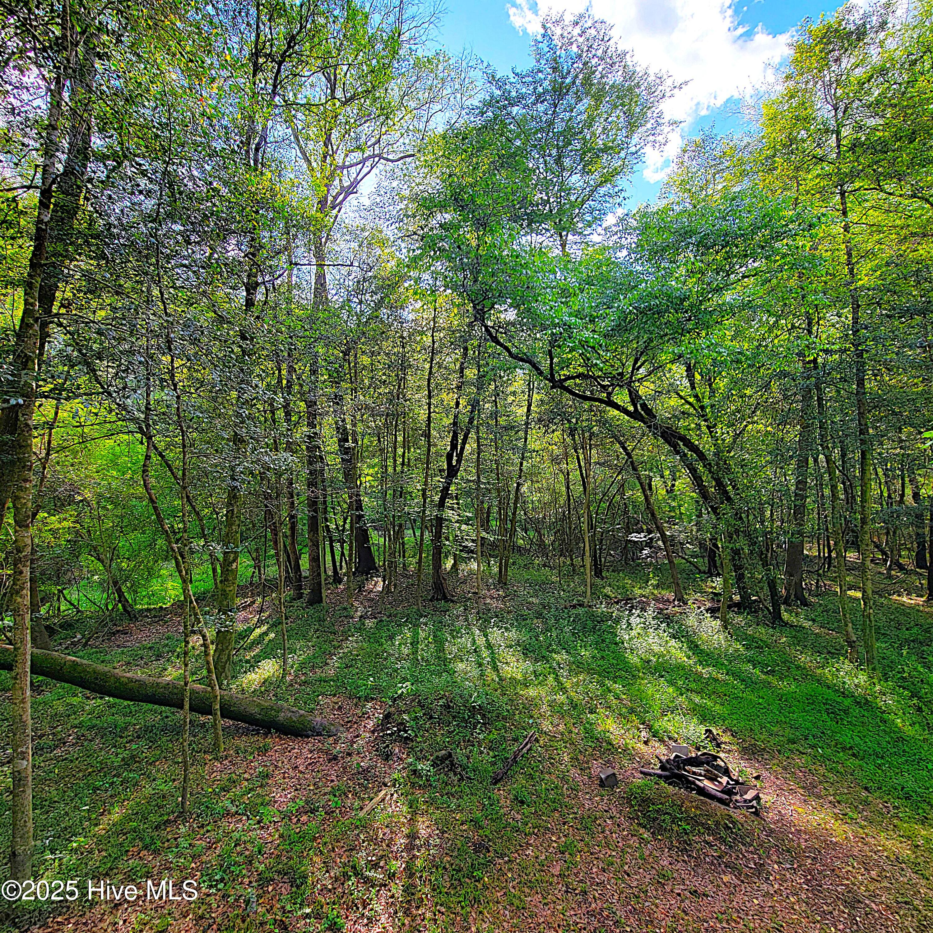 857 Mill River Road Property Photo 34