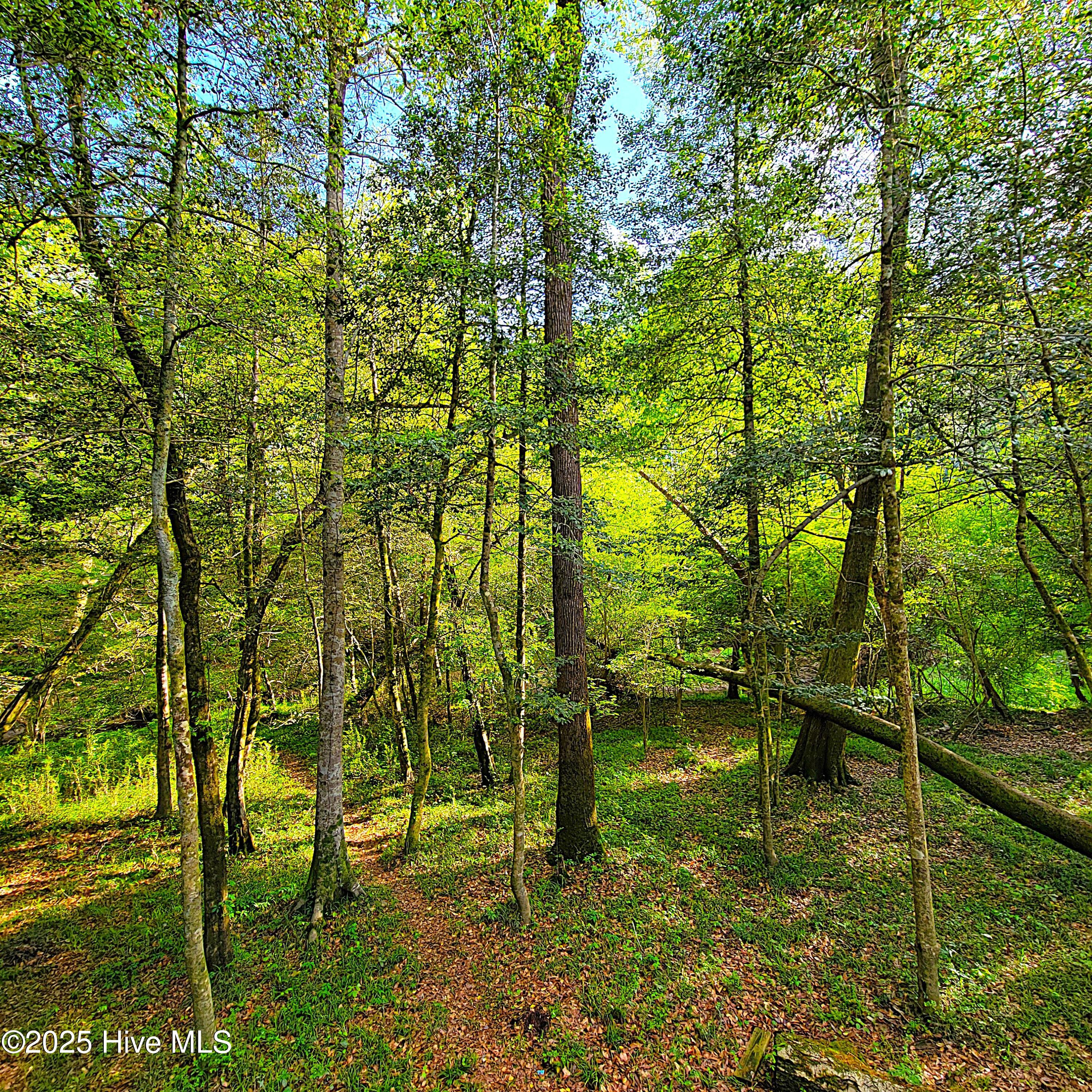 857 Mill River Road Property Photo 35