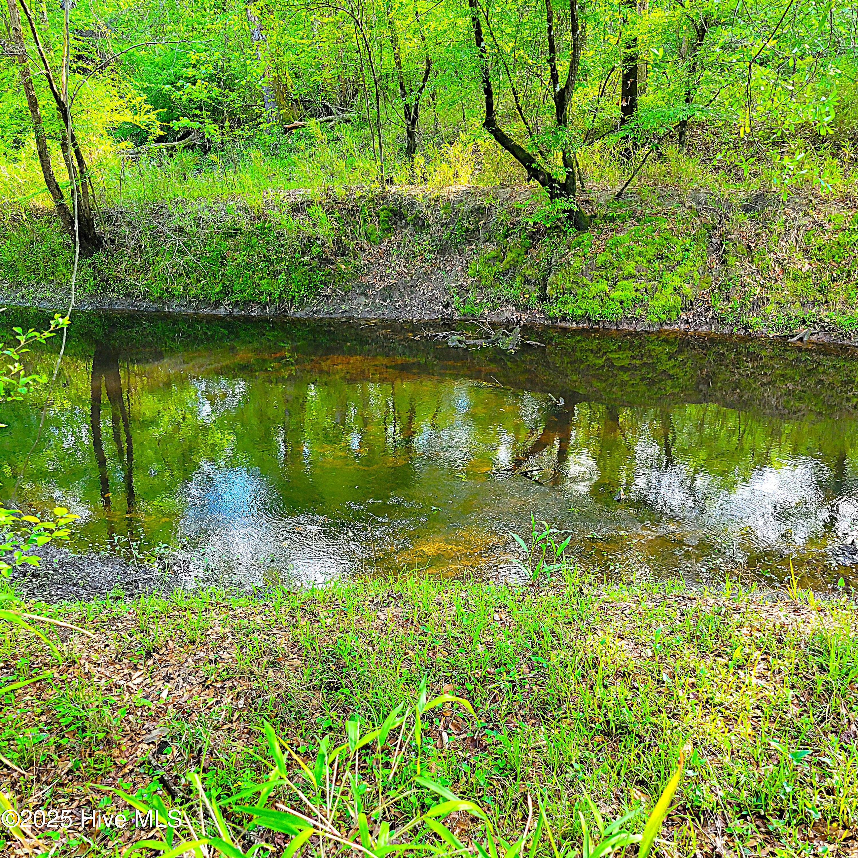 857 Mill River Road Property Photo 40