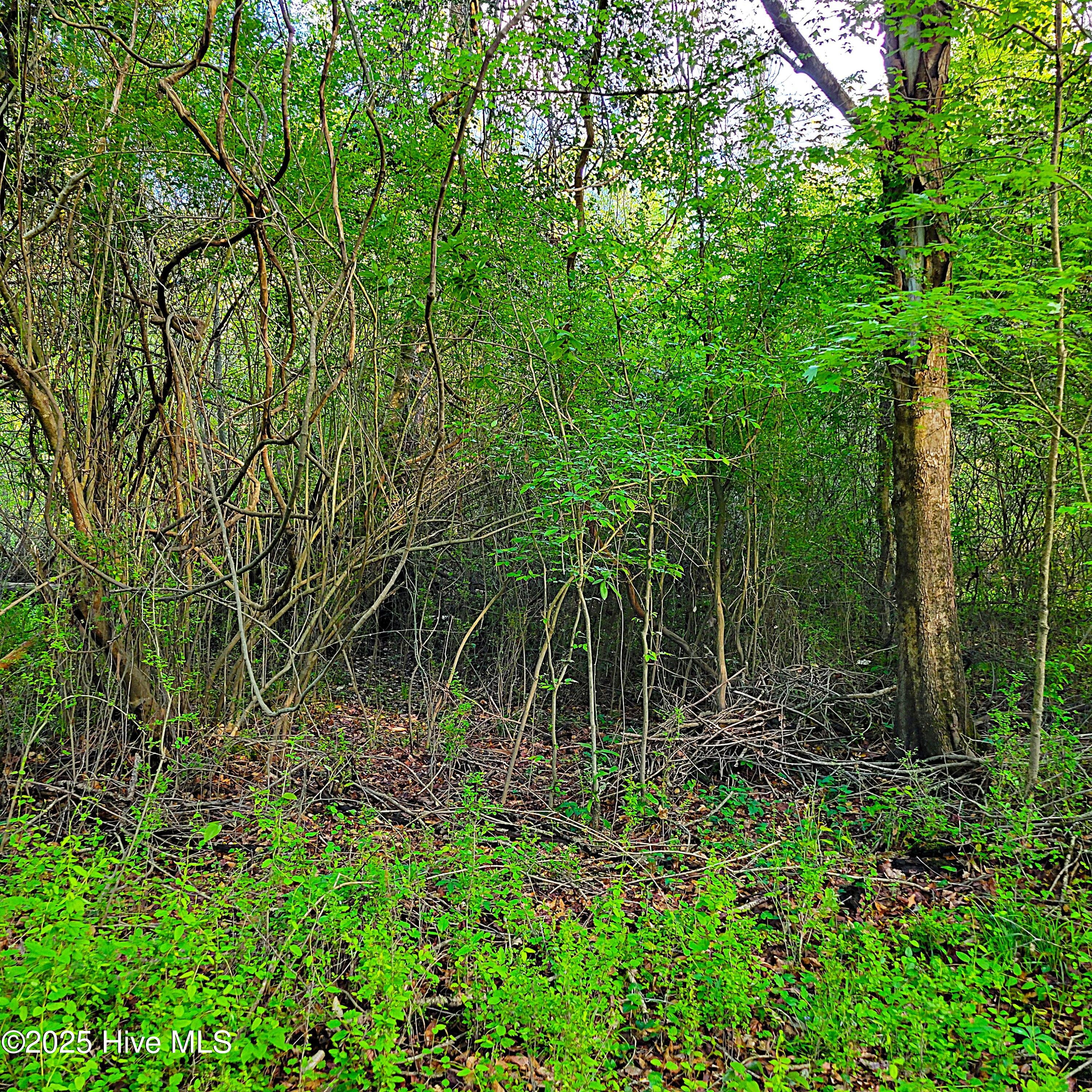 857 Mill River Road Property Photo 42