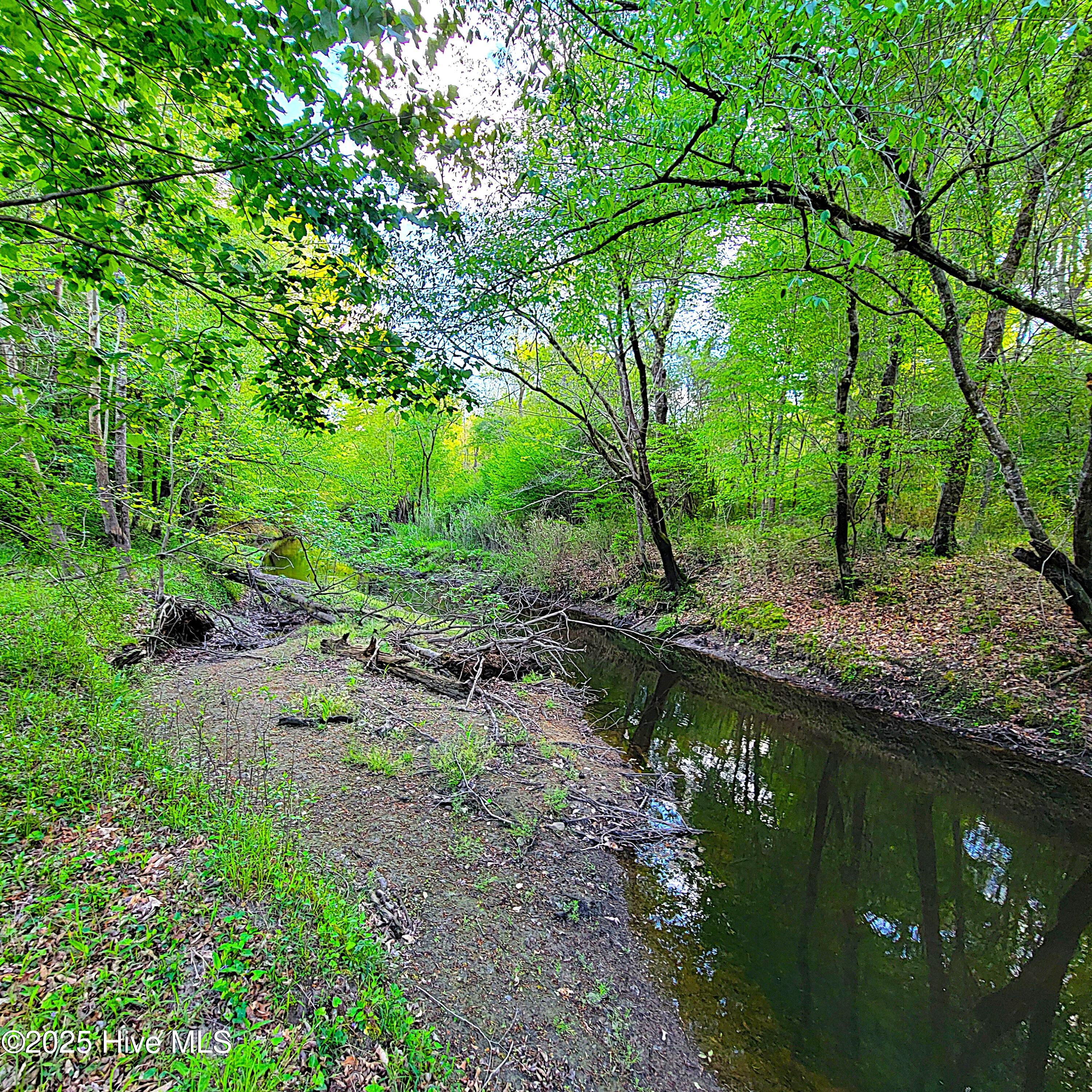 857 Mill River Road Property Photo 44