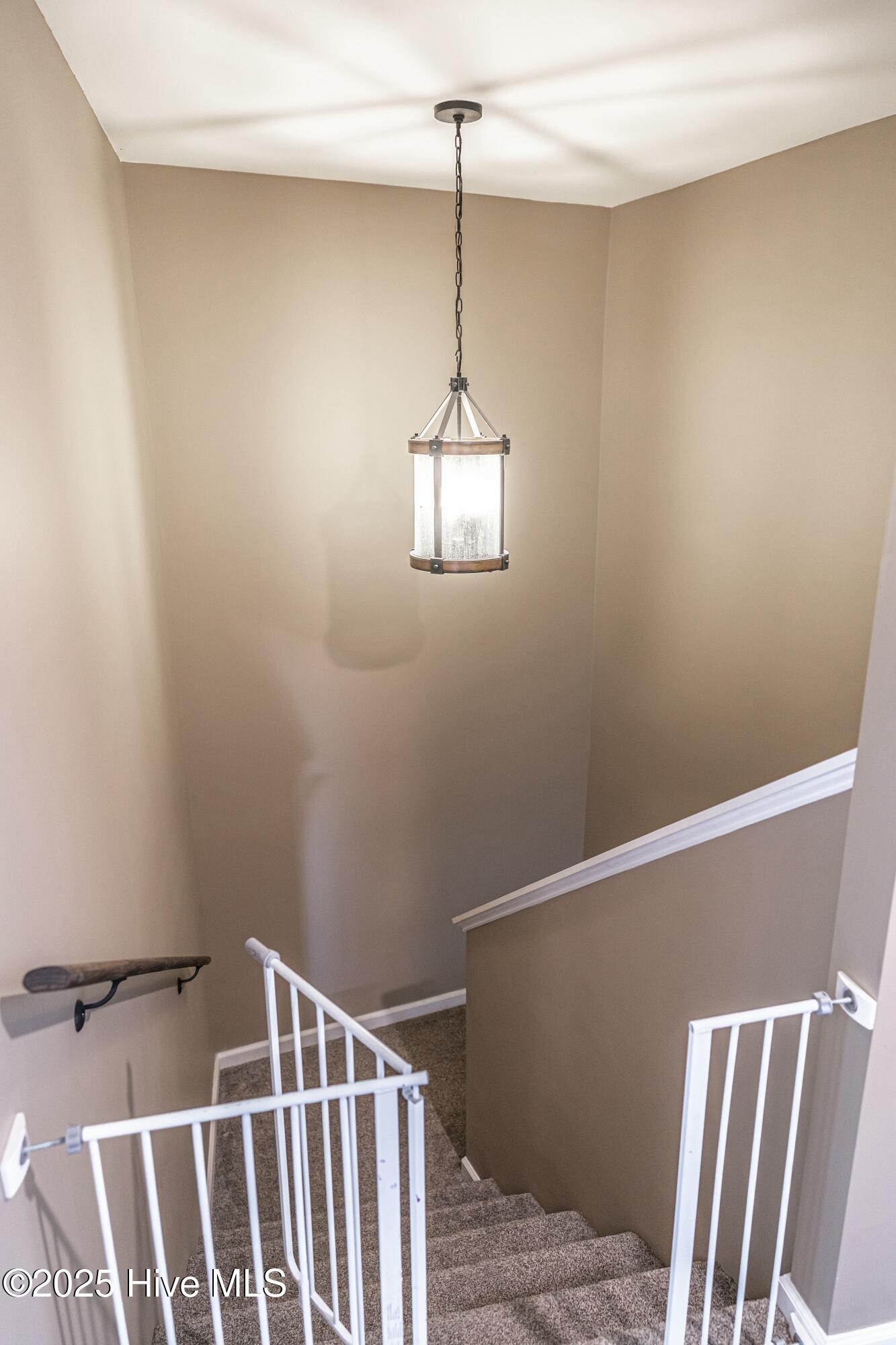124 Shenandoah Road Property Photo 21