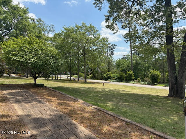 204 Castle Ridge Road Property Photo 41
