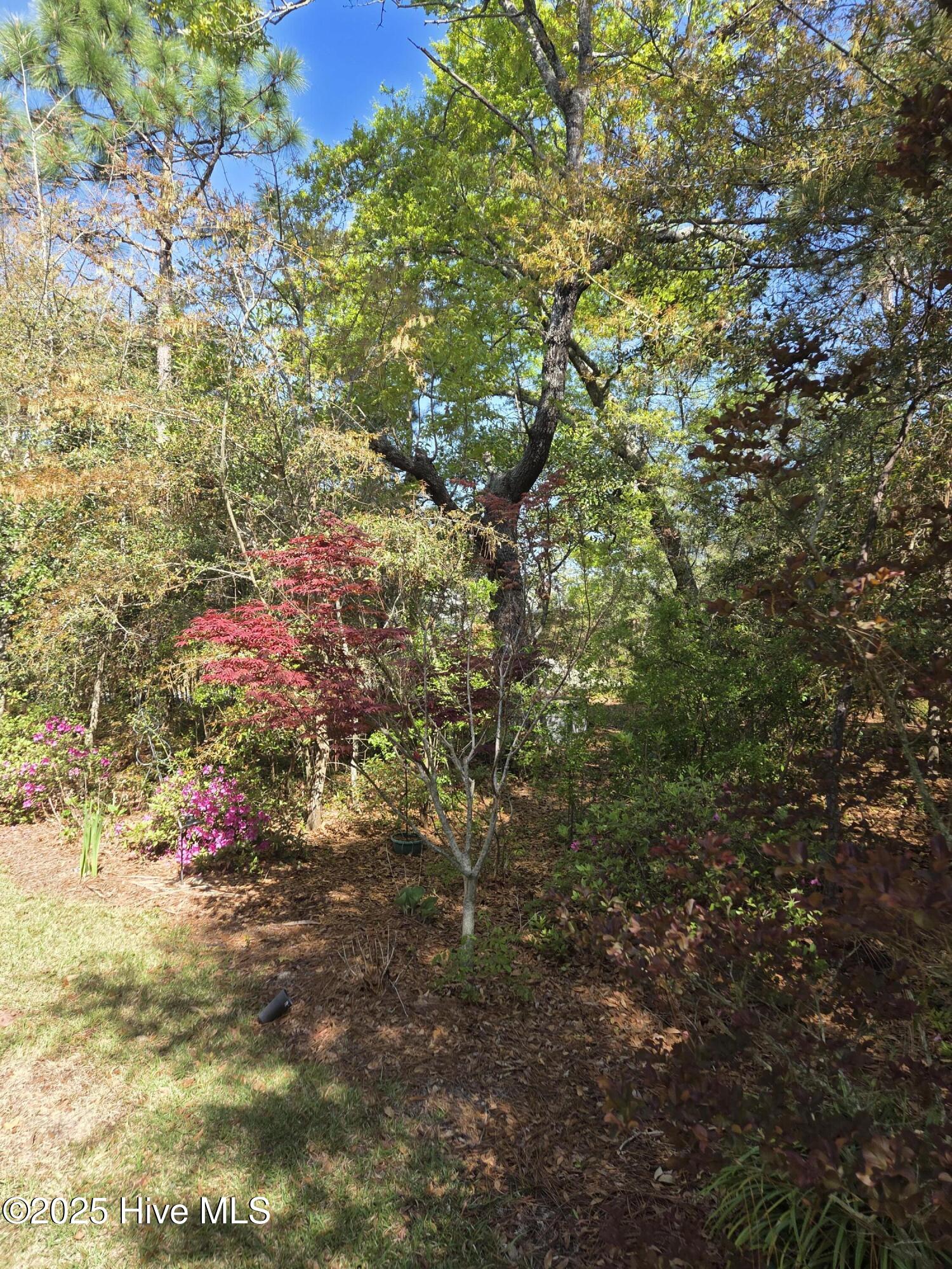 118 Ne 11th Street Street Property Photo 5