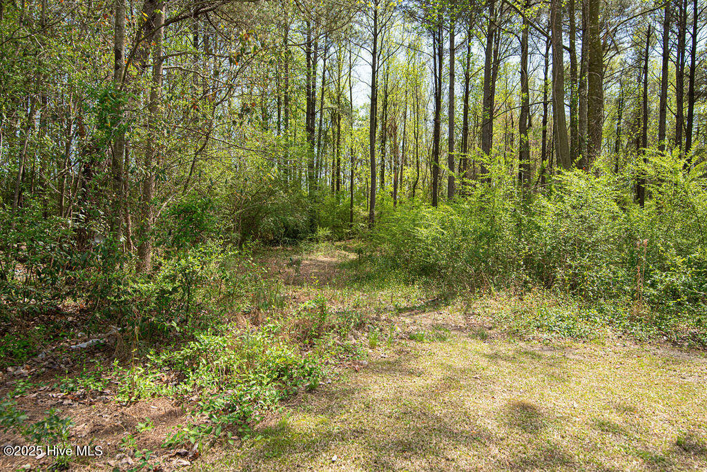 203 Johnny Whaley Road Property Photo 46