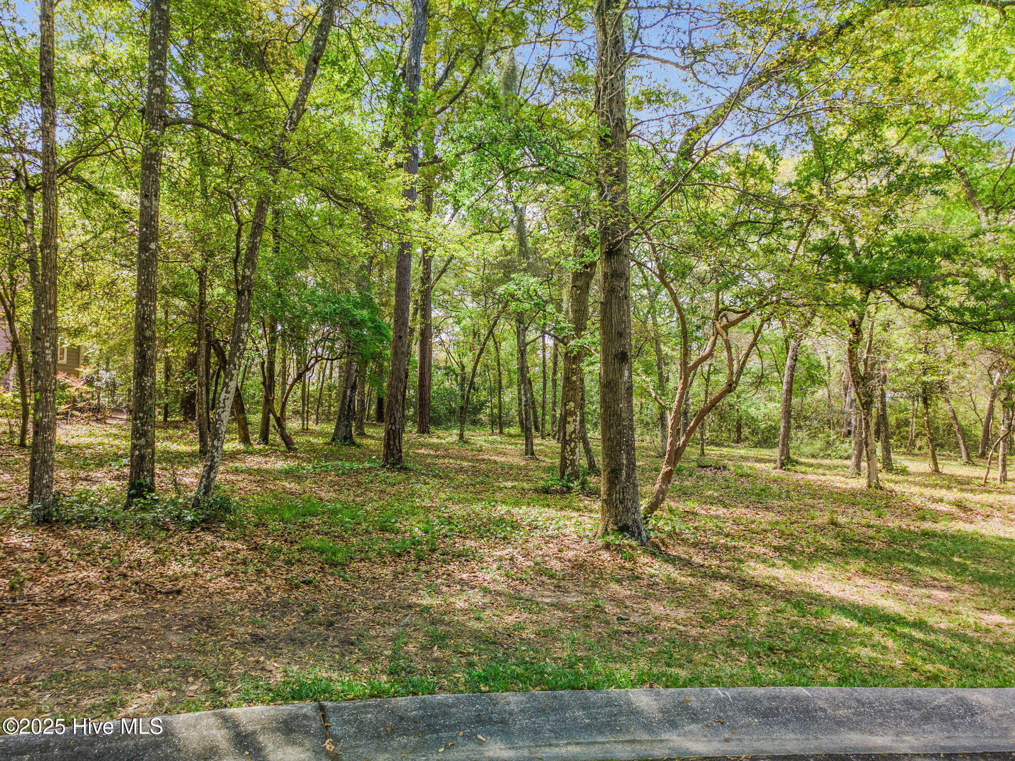 3509 Chalmette Drive Property Photo 1