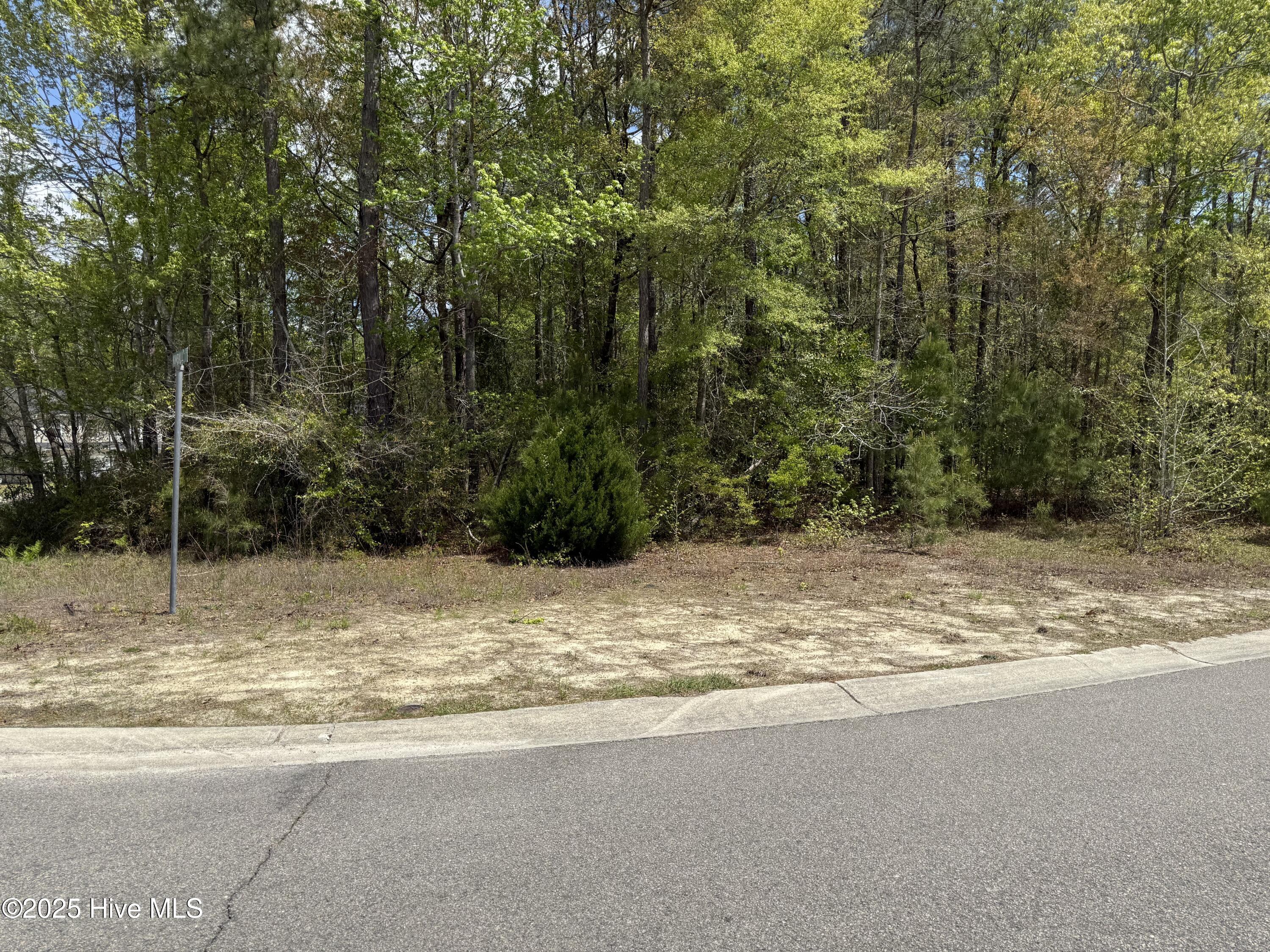 763 Pantego Boulevard Property Photo 1