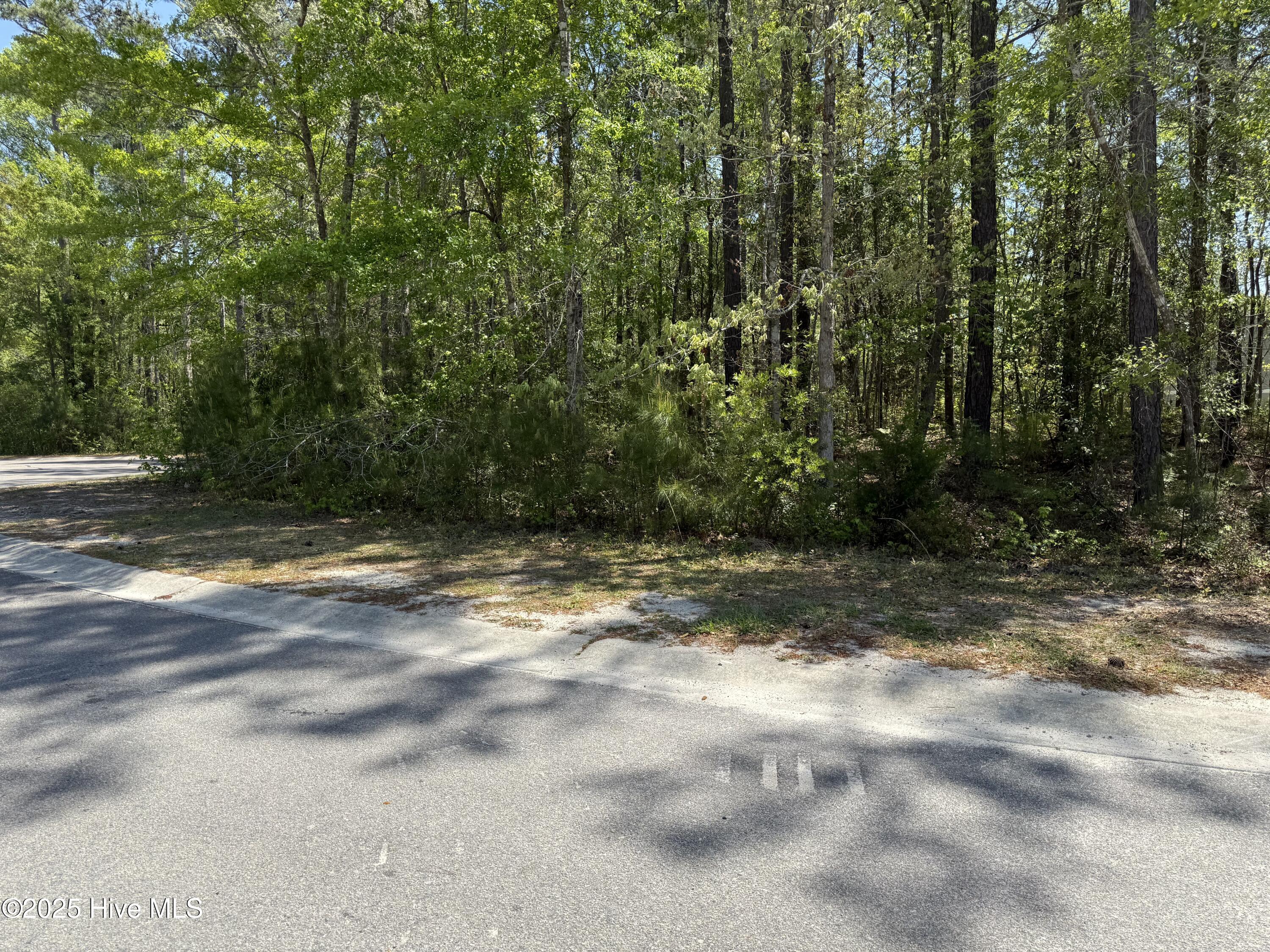 763 Pantego Boulevard Property Photo 3