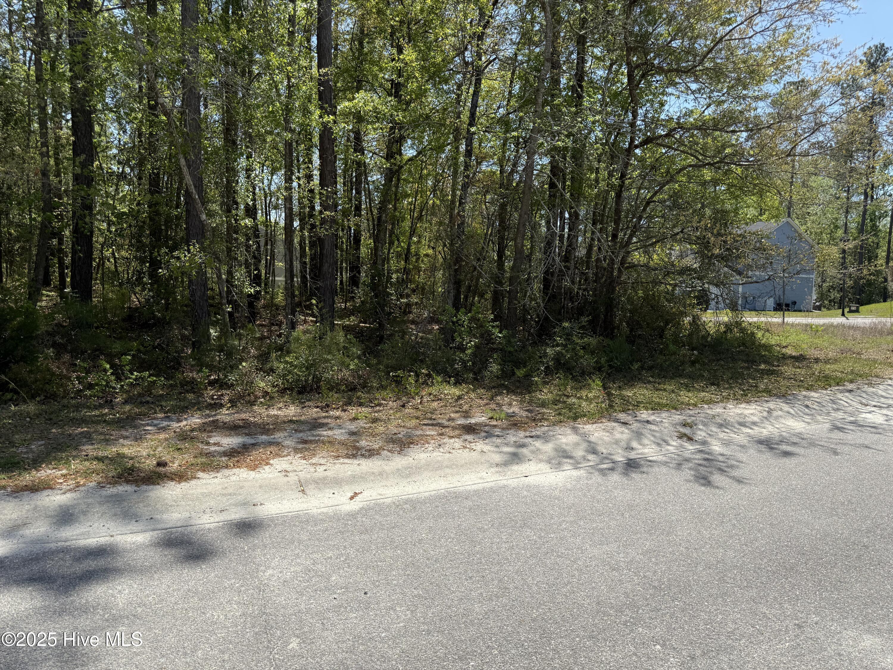 763 Pantego Boulevard Property Photo 4