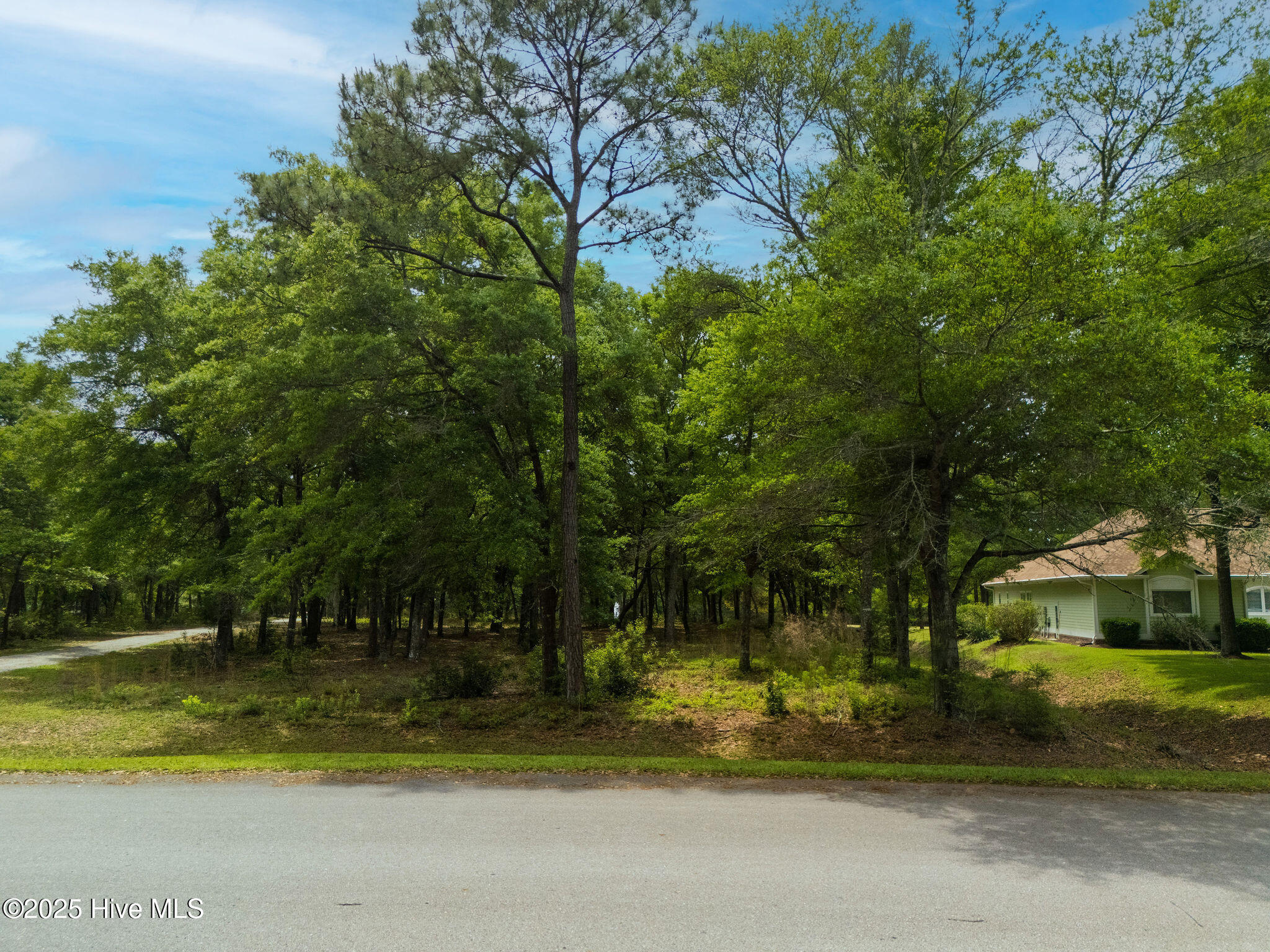 3389 Heron Lake Drive Property Photo 3