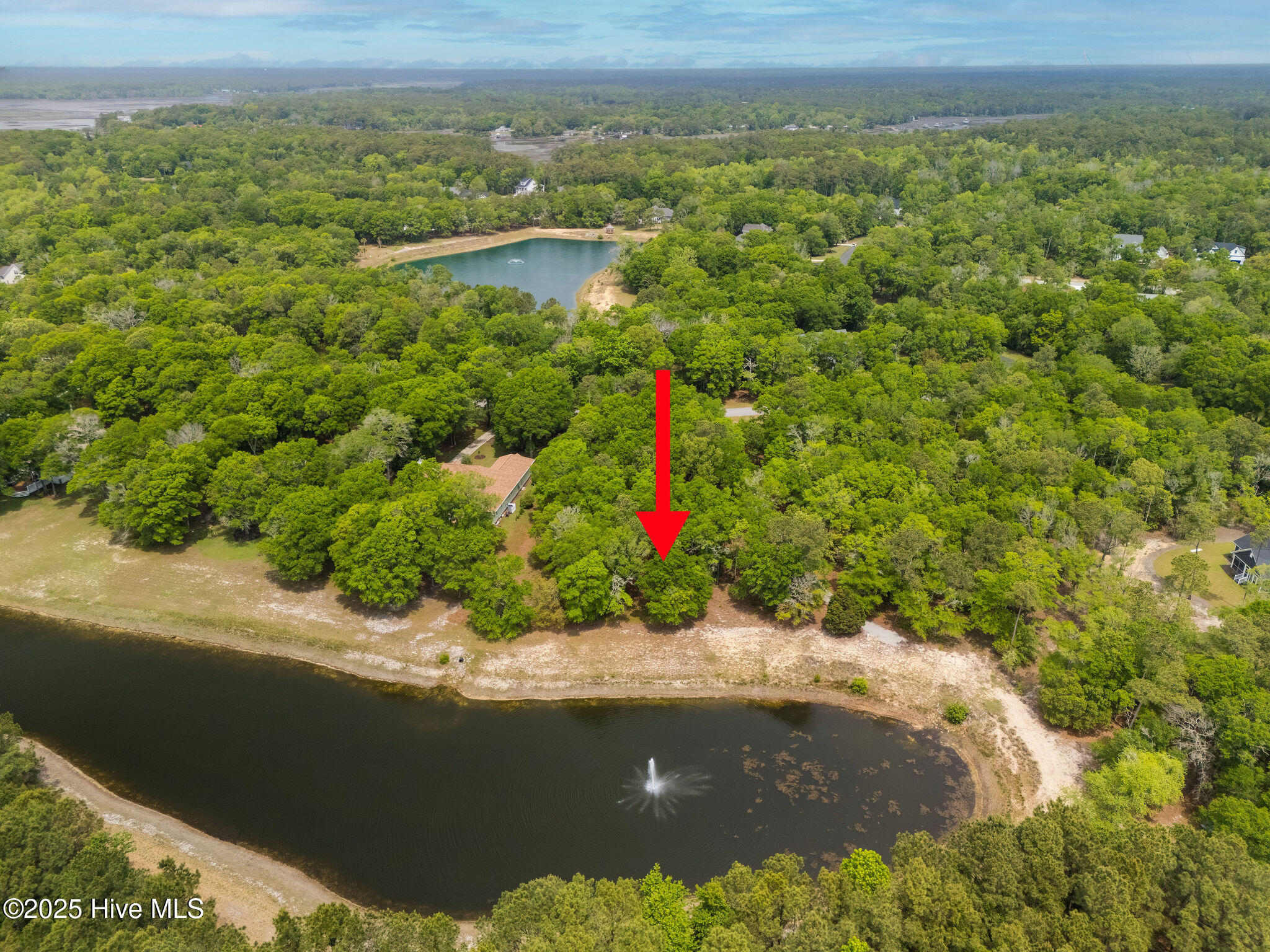3389 Heron Lake Drive Property Photo 4
