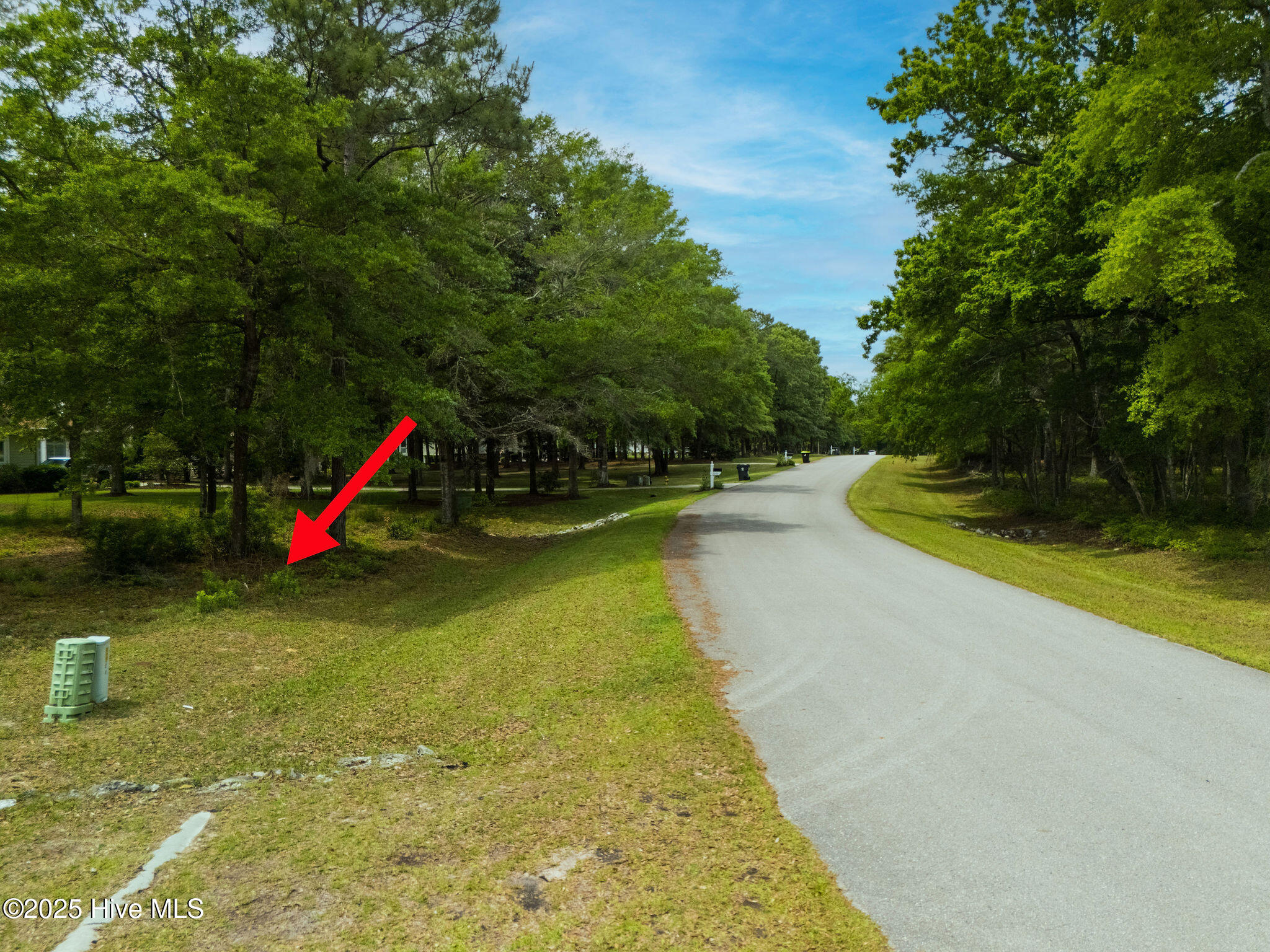 3389 Heron Lake Drive Property Photo 6