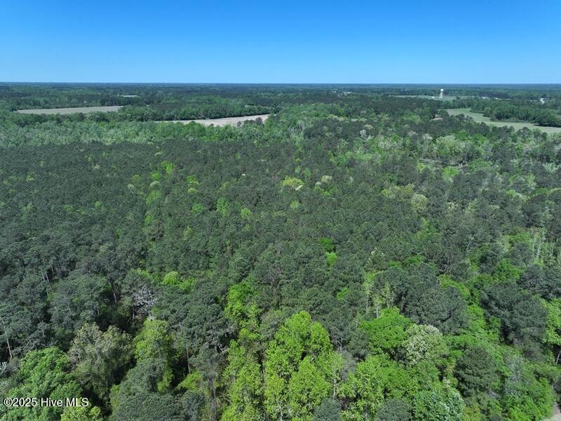 Tbd Sand Rock Road Property Photo 3
