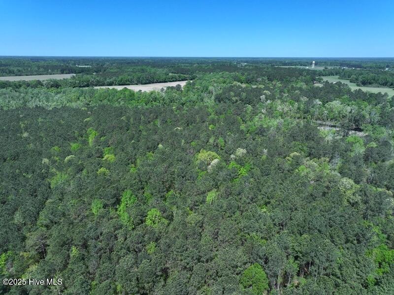 Tbd Sand Rock Road Property Photo 4
