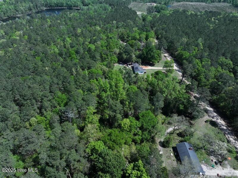 Tbd Sand Rock Road Property Photo 5