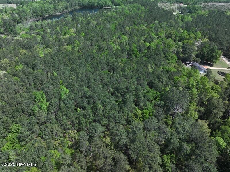 Tbd Sand Rock Road Property Photo 6