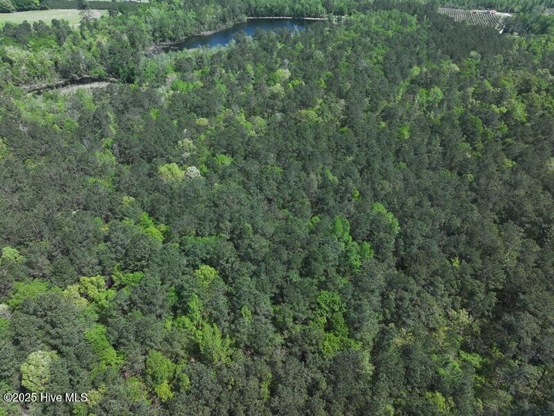 Tbd Sand Rock Road Property Photo 7